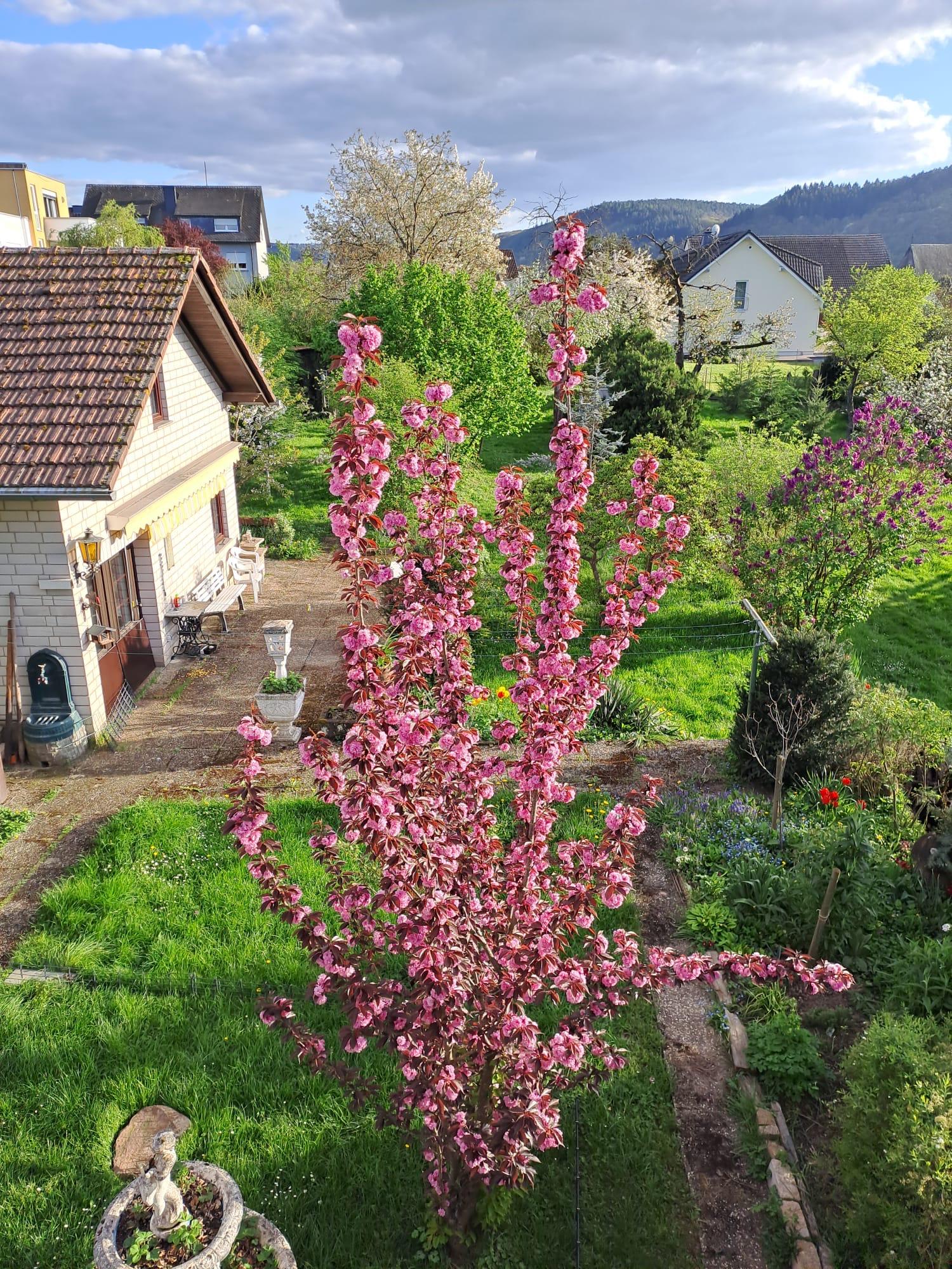 Ferienhaus Ma Cabane Saarburg (06)