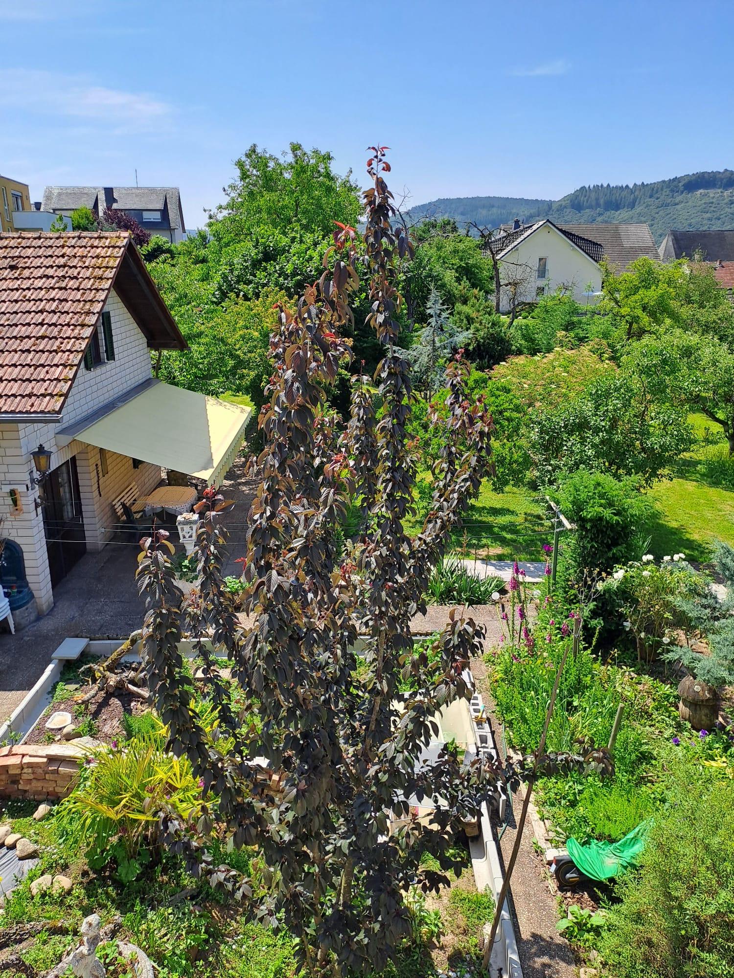 Ferienhaus Ma Cabane Saarburg (04)