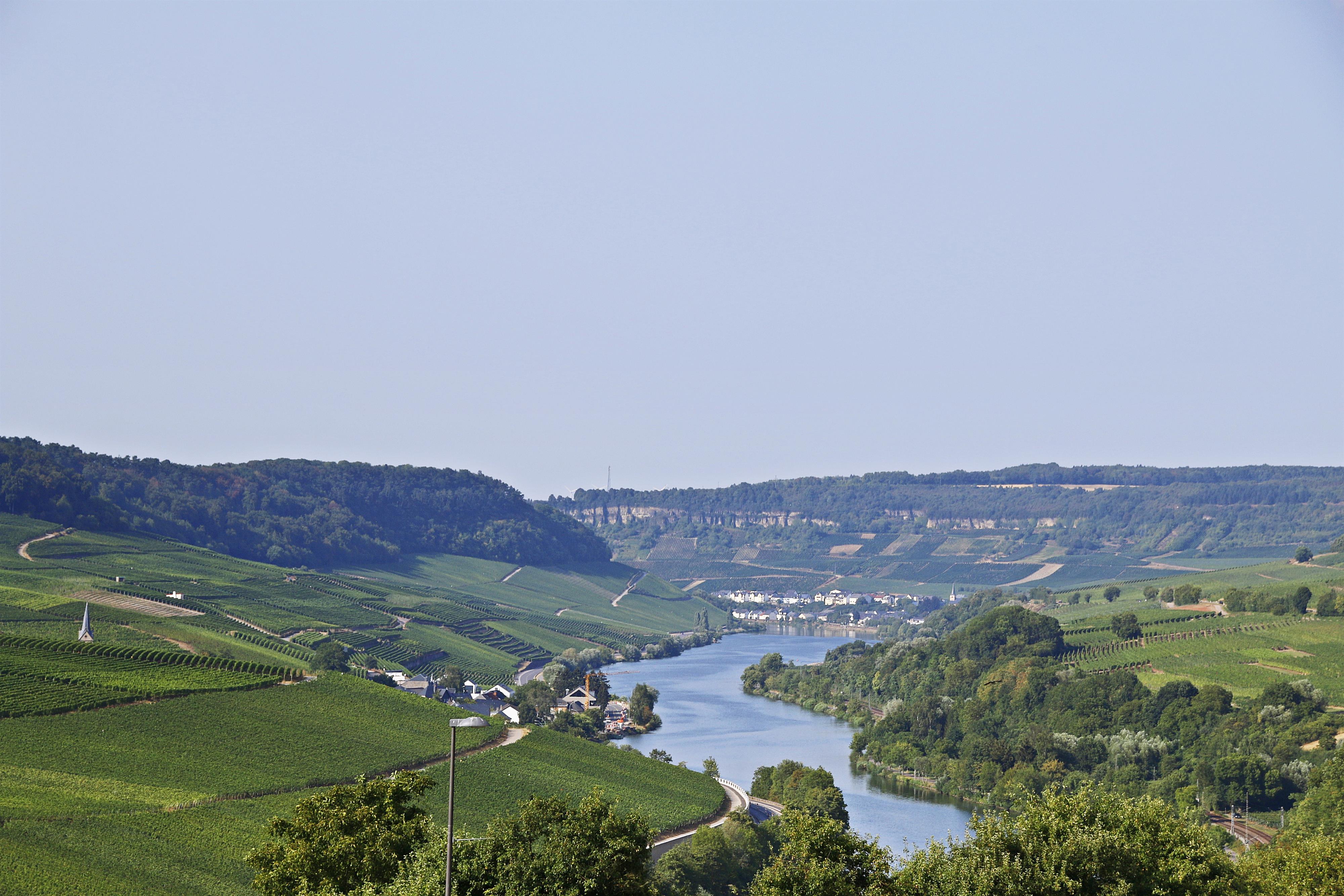 Blick auf Nittel