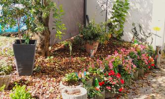 Garten am Haus