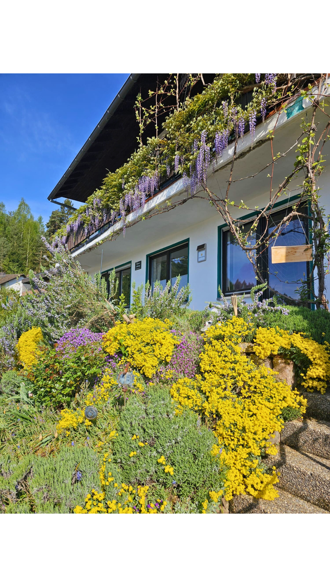 Bee-friendly garden