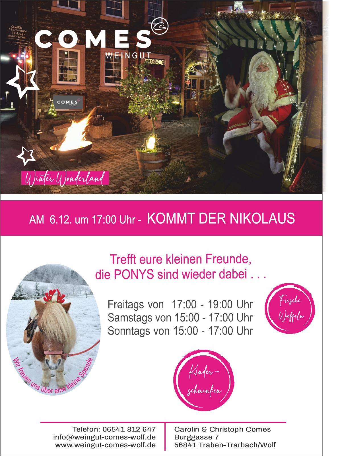 Plakat Winter Wonderland