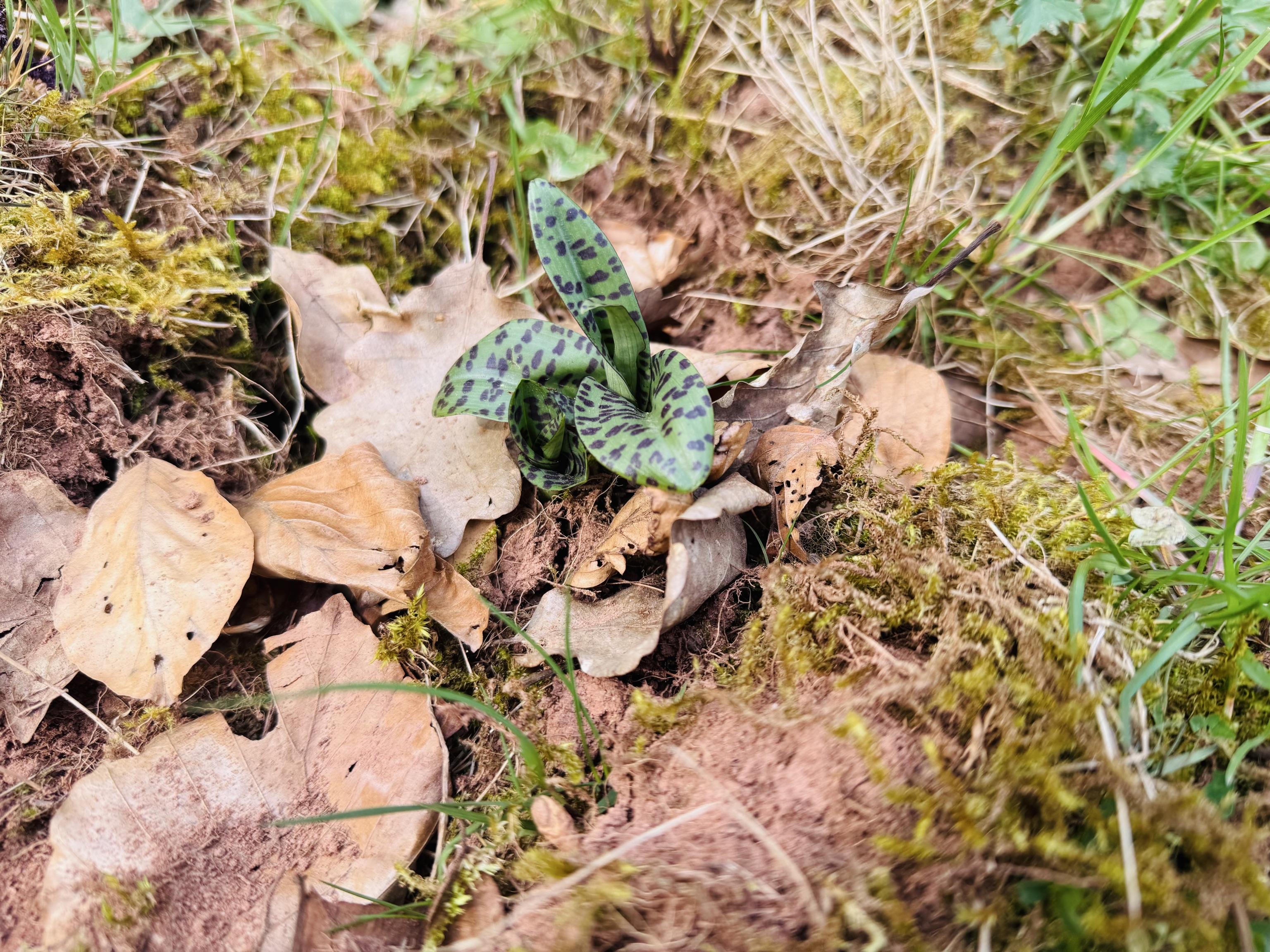 Führung Nutztier, Mensch und Natur das heute leben 27.05.2025