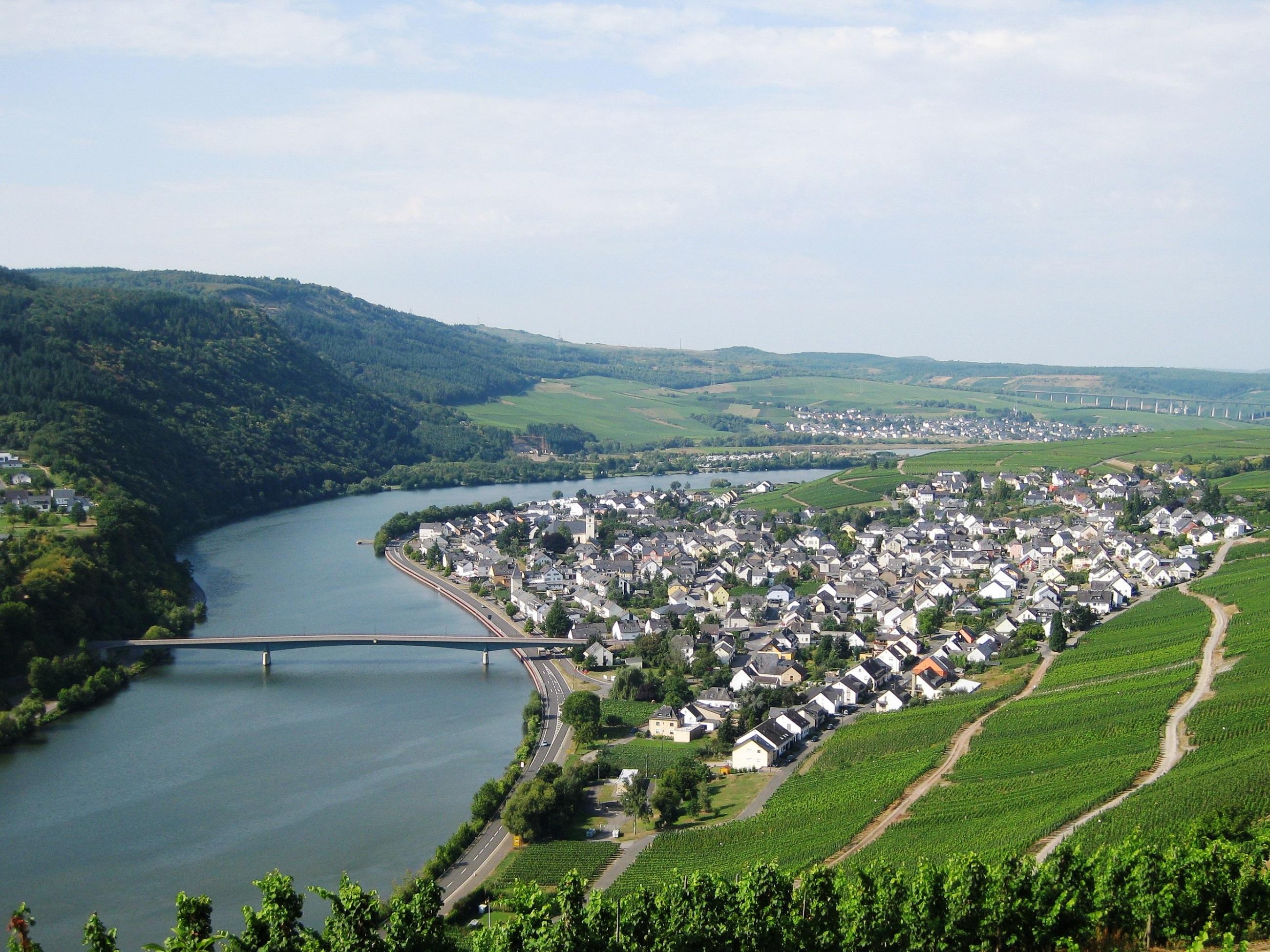 Ortsgemeinde Mehring