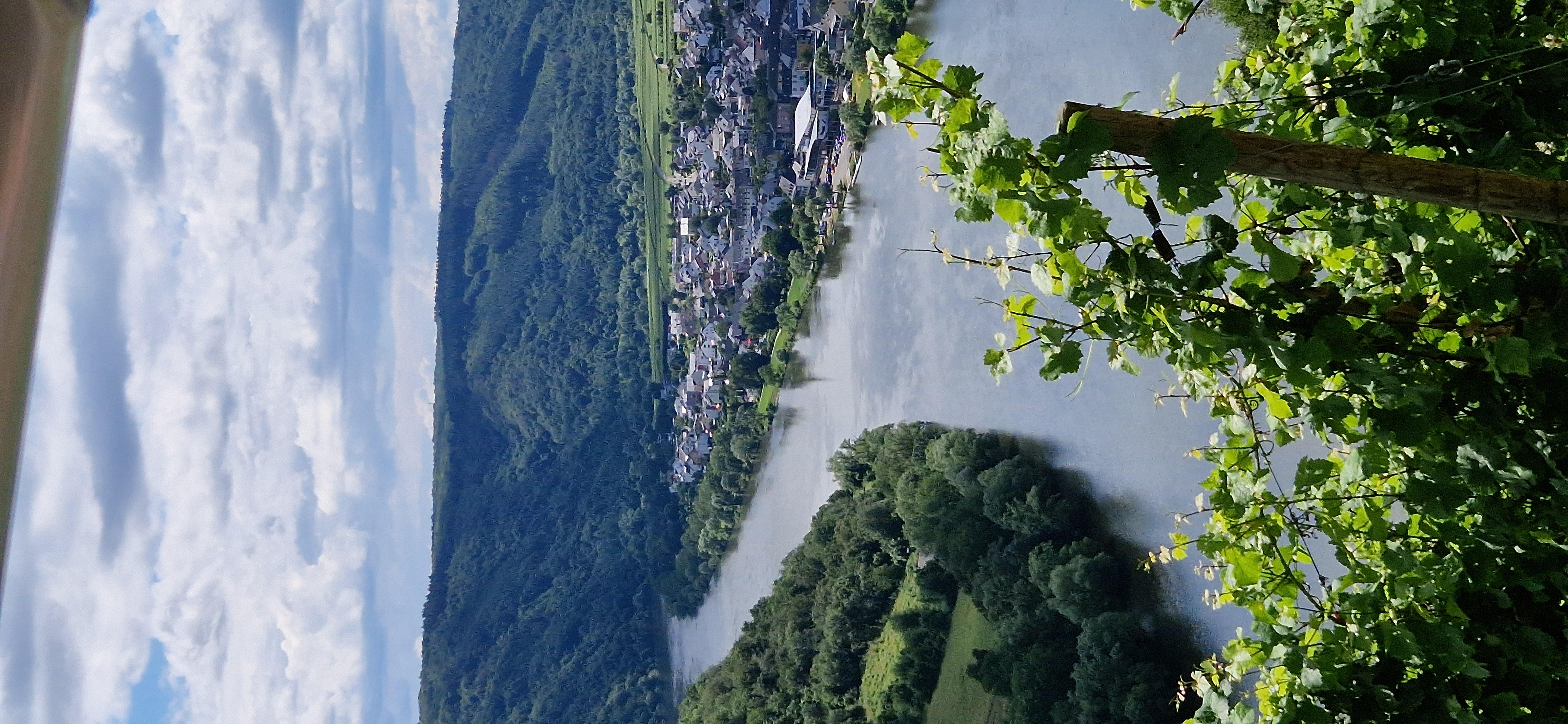 Die Mosel