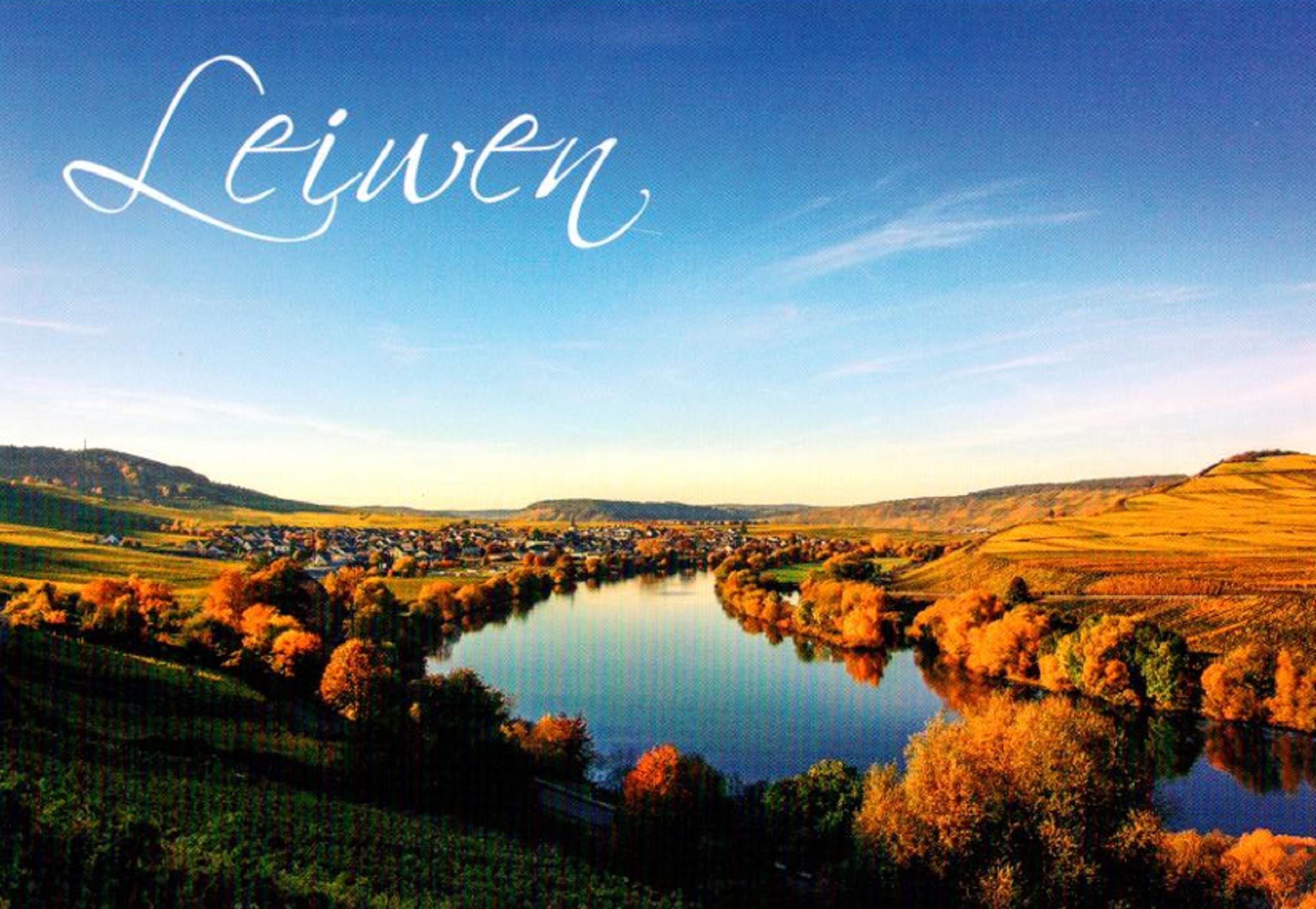 Plakat Dorffest Leiwen