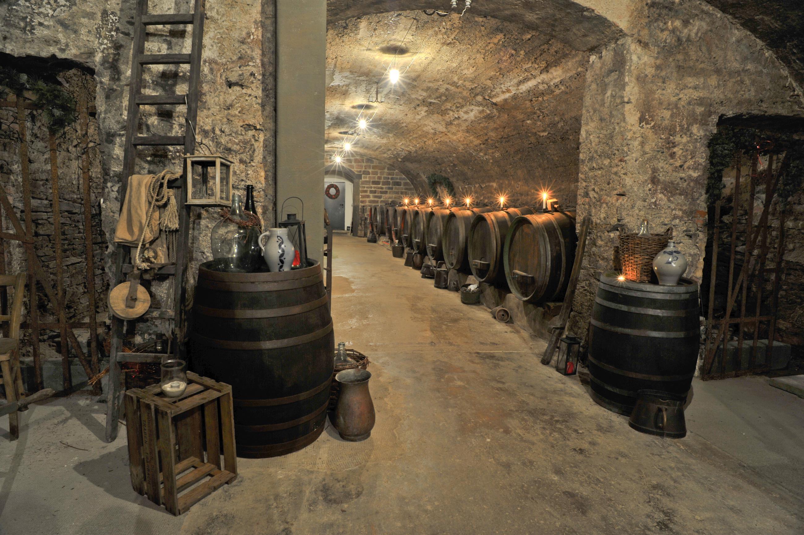 Excursion to the Traben-Trarbach underworld