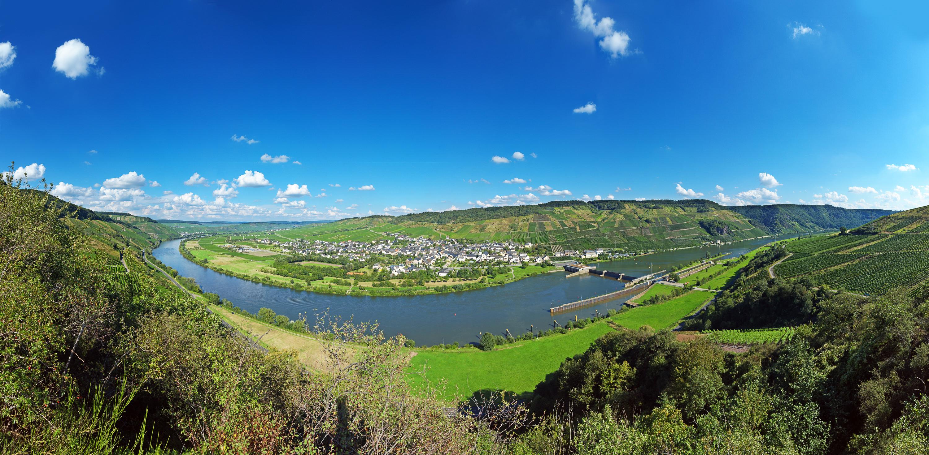 Wintrich an der Mosel