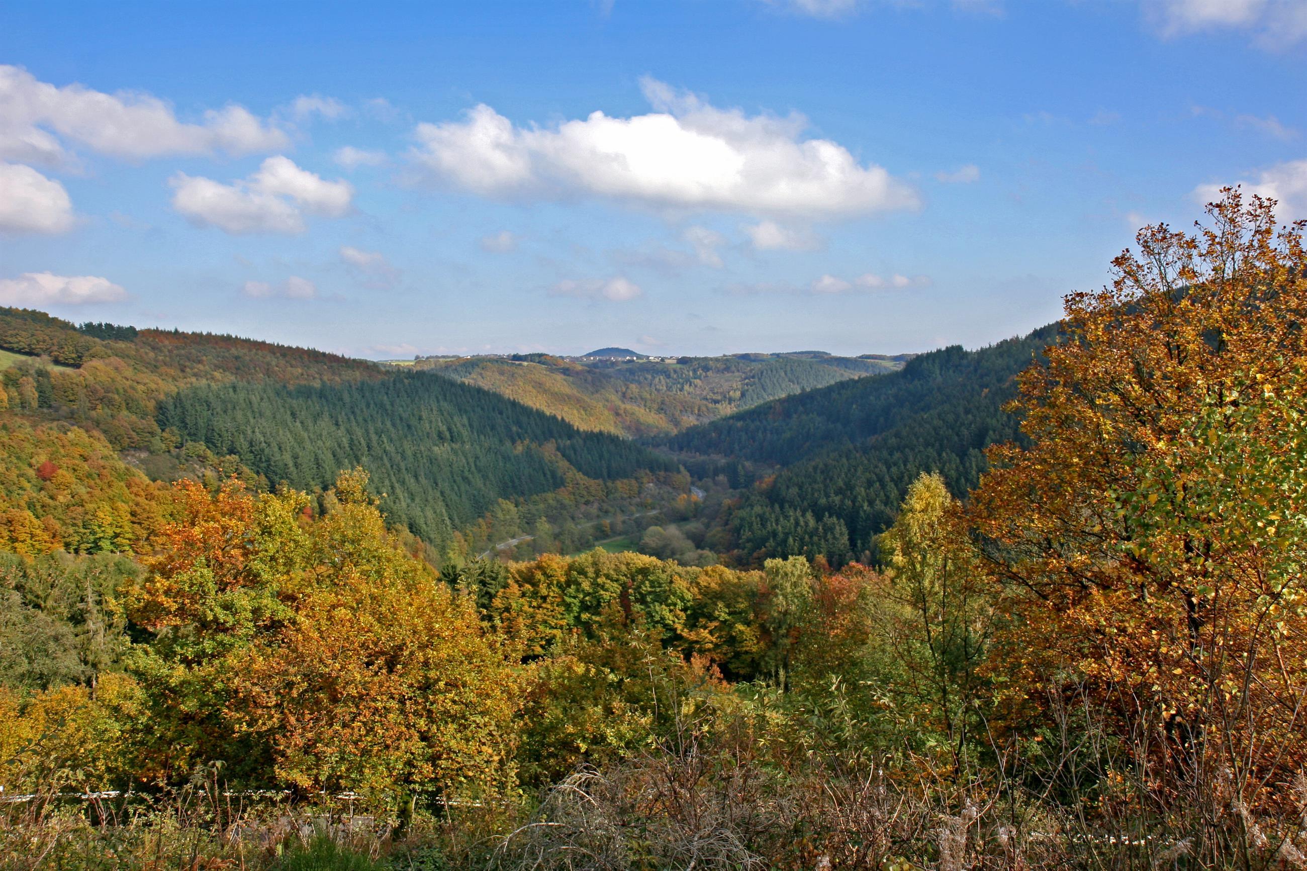 Eingebettet in Wälder Hürtgenwald