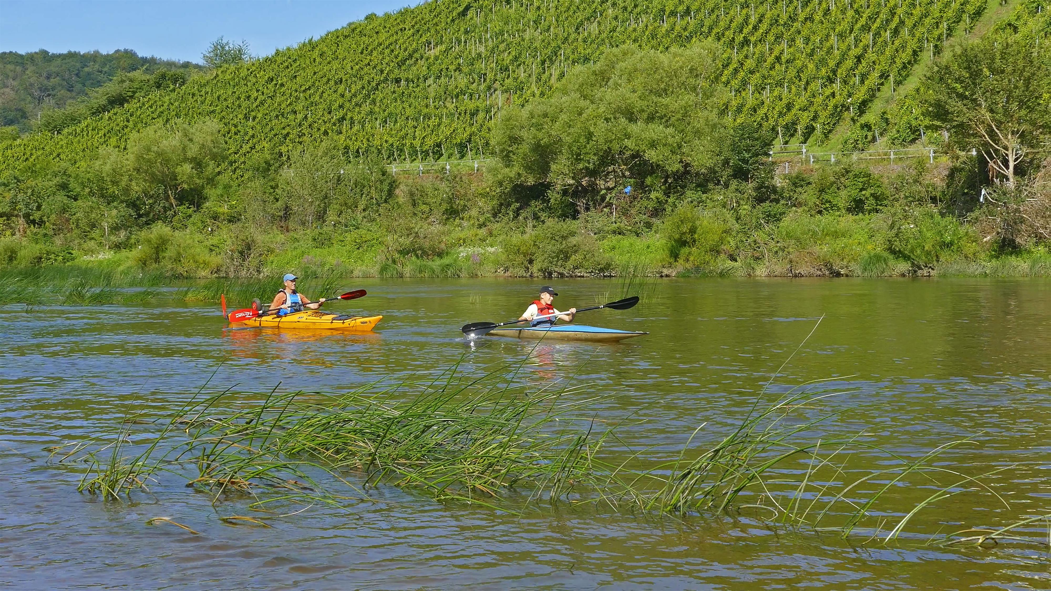 Kanutour im Wiltinger Saarbogen