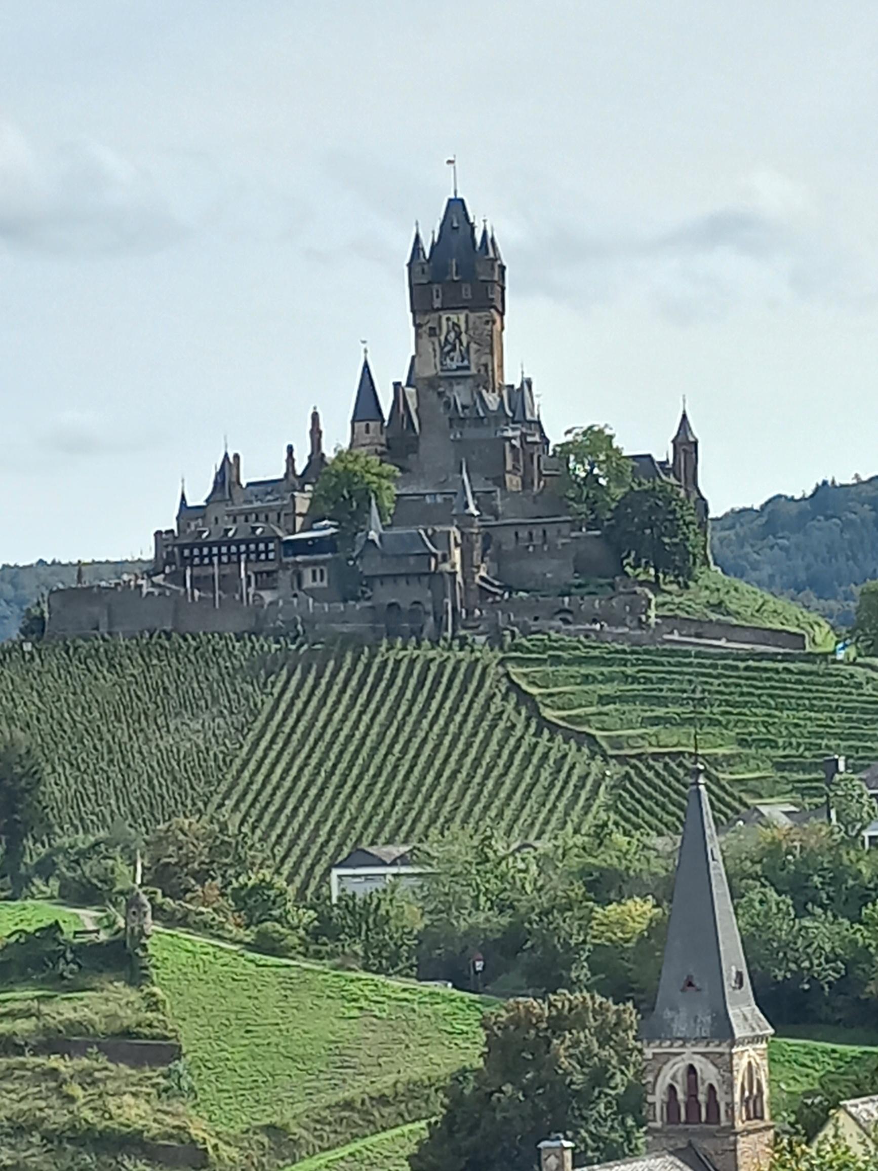 Ausblick