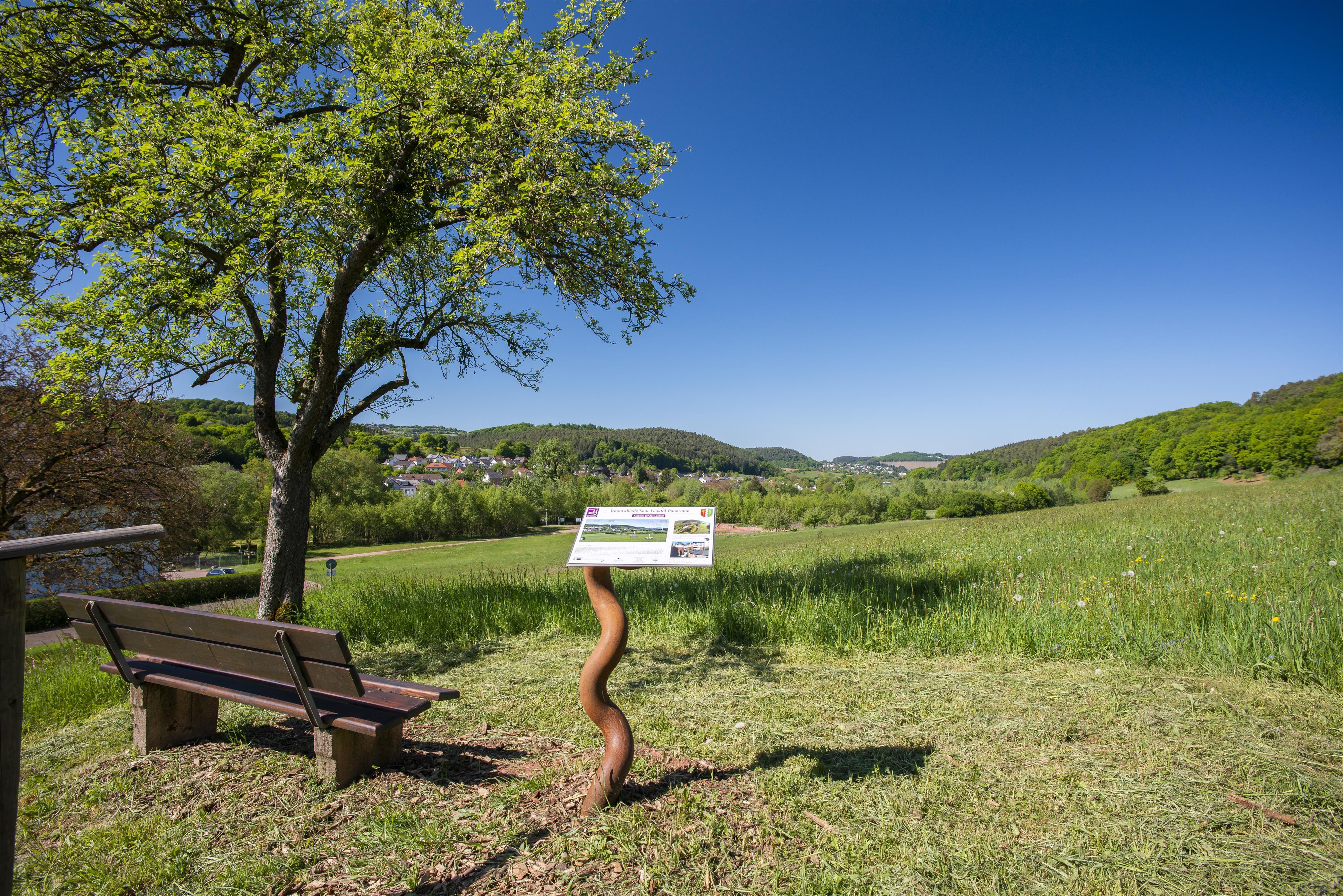 Traumschleife "Saar-Leuktal-Panorama" (1)