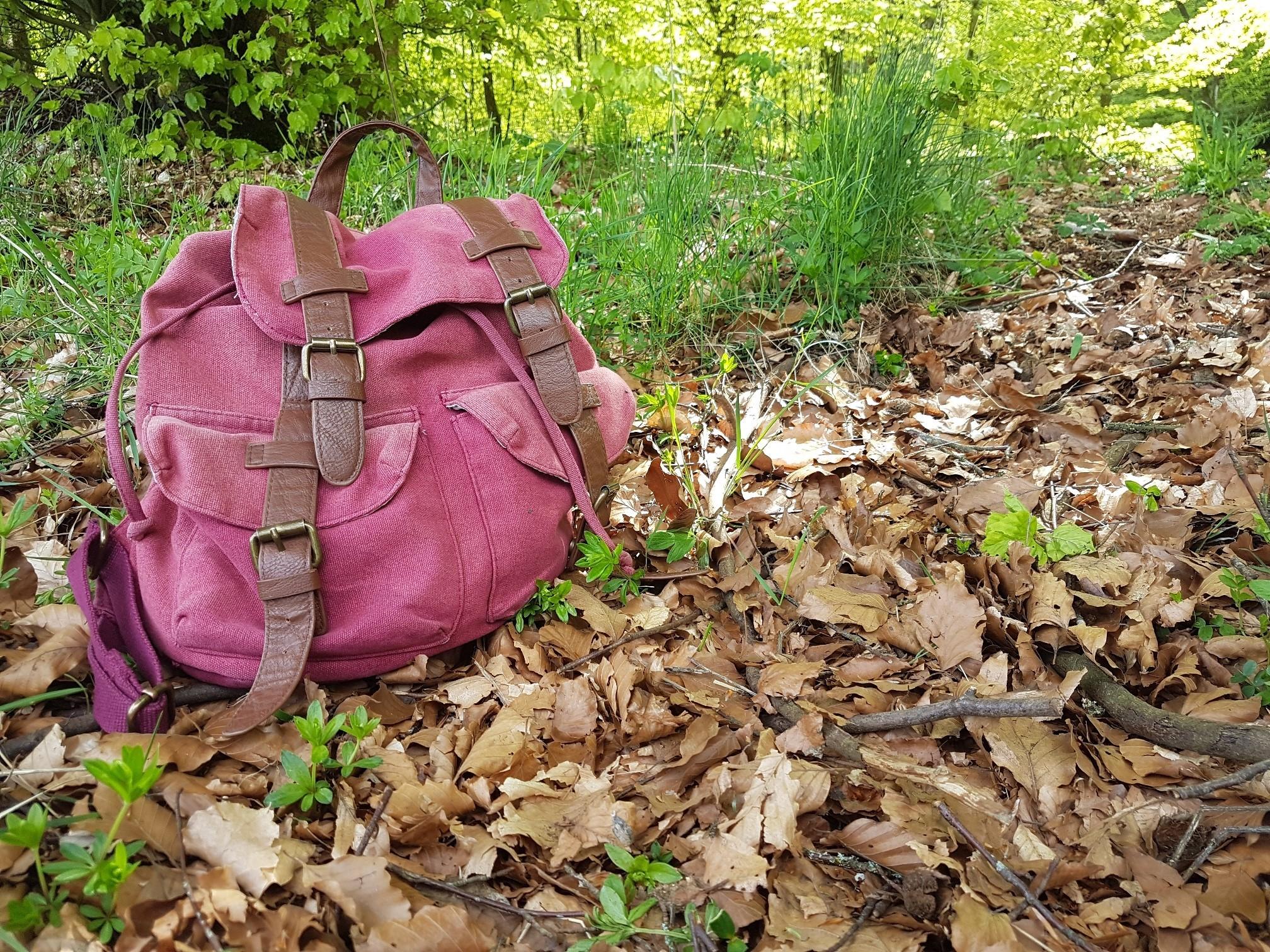 Wanderung Eifelverein Ortsgruppe Wittlich