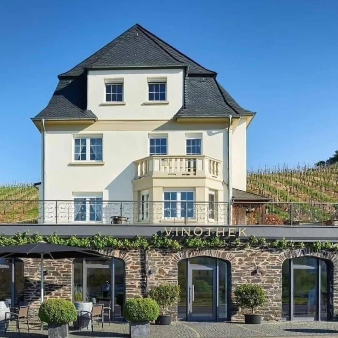 Weinprobe im Weingut Thanisch in Lieser