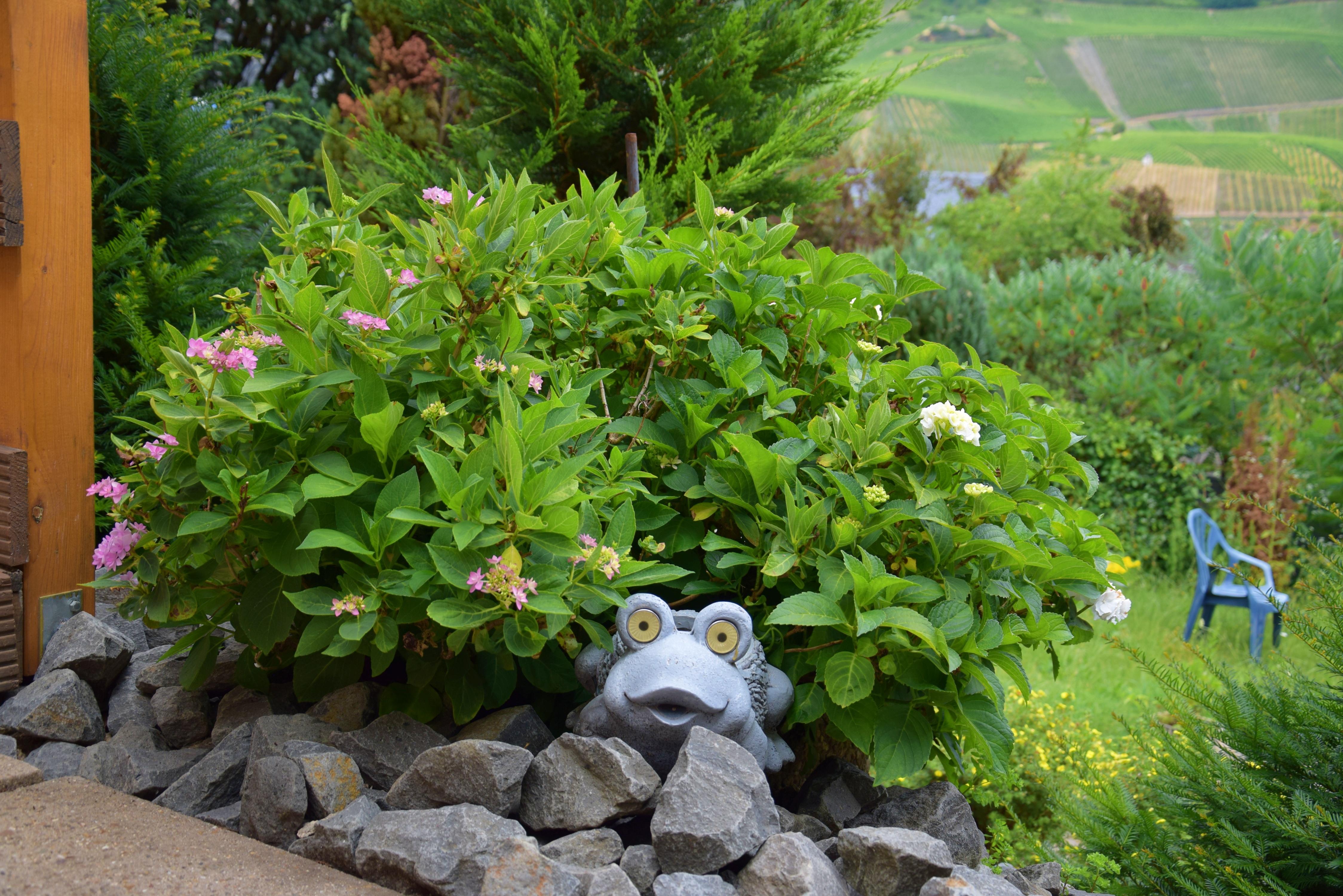 Garten Deko