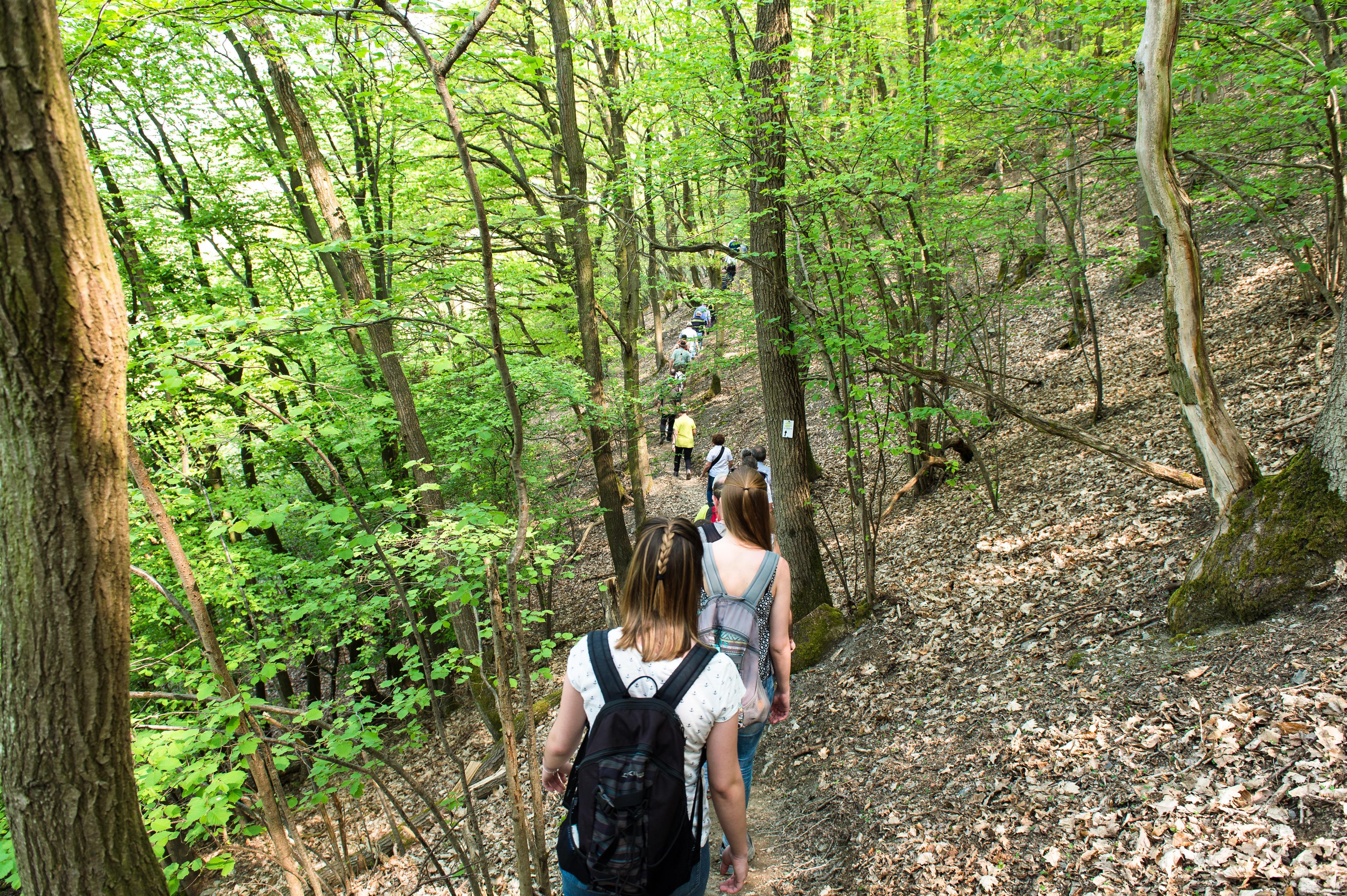 Weinwanderung