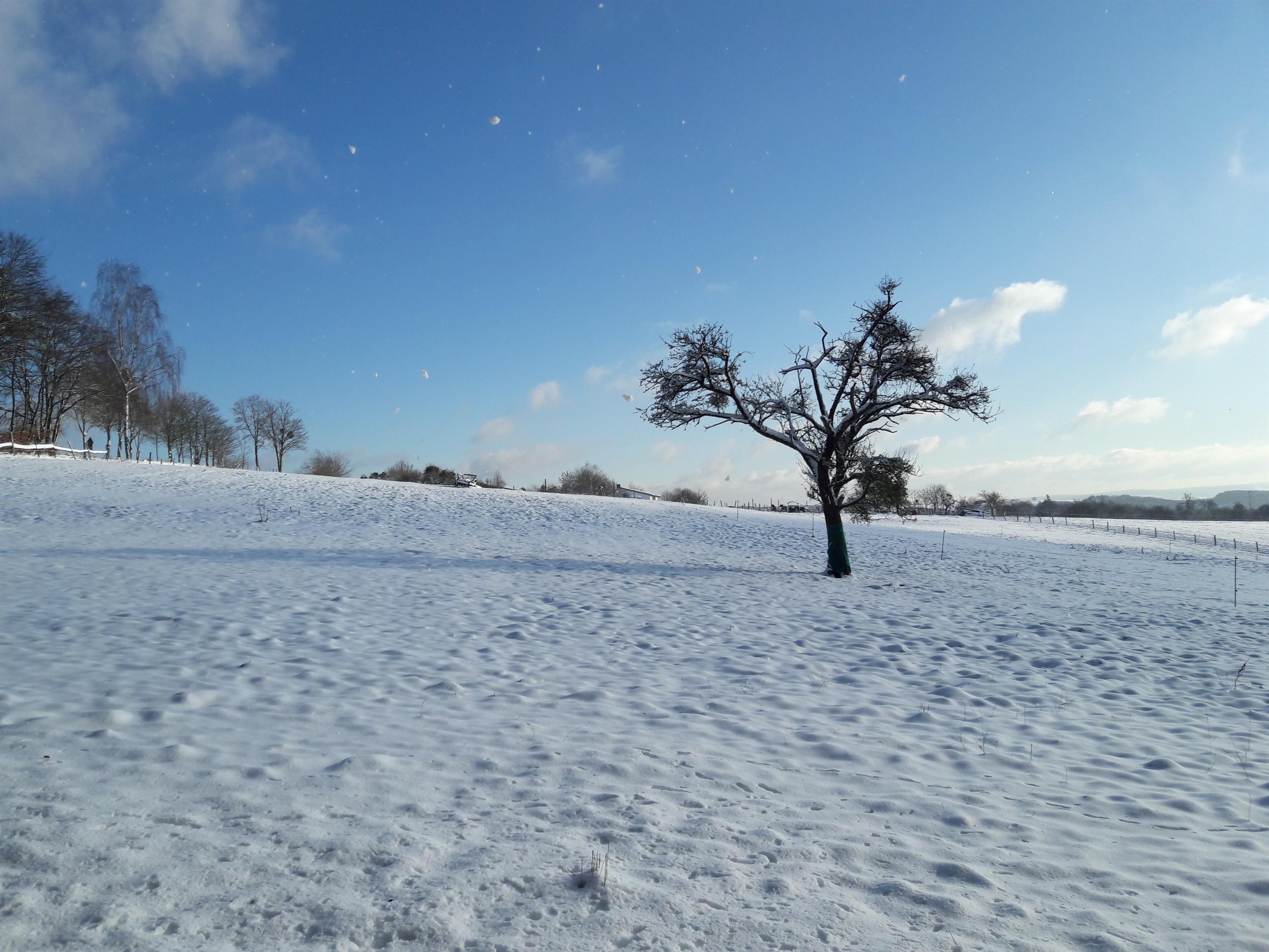 Winterlandschaft