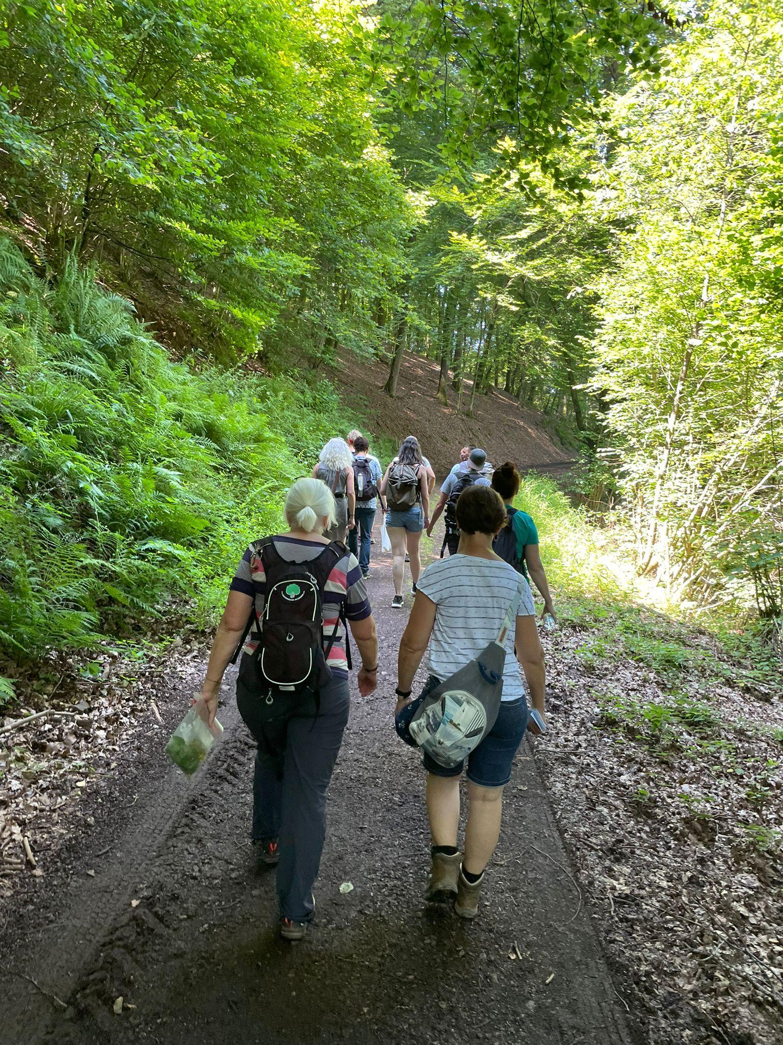 Seminar Essbare Wildkräuter 2