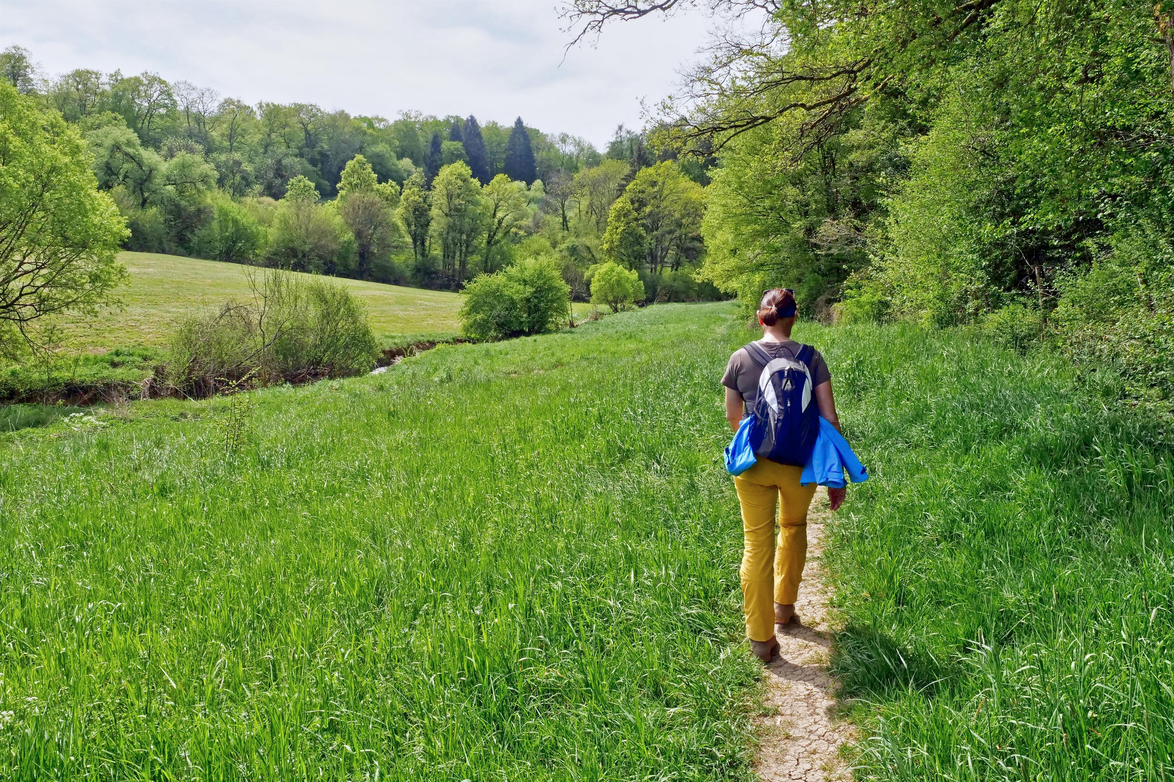 Wanderer (2)