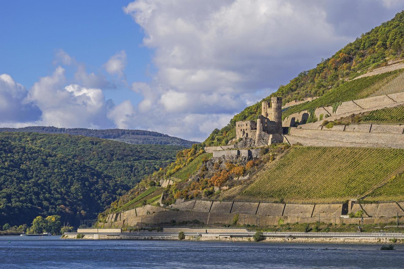 Ruin Ehrenfels
