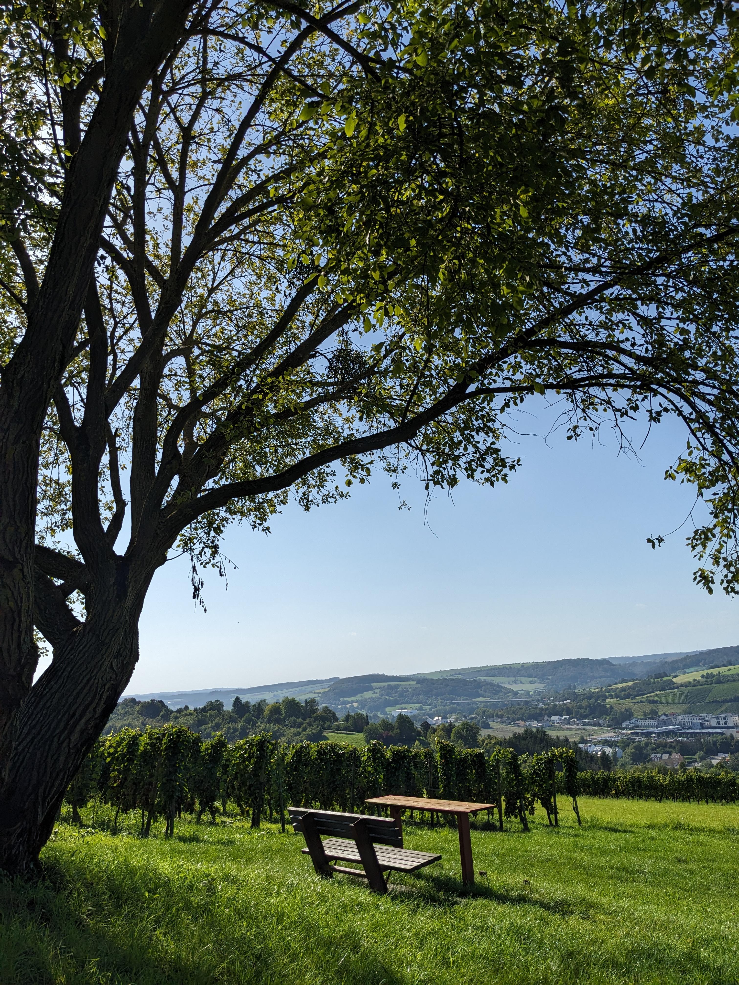 Landschaft rund um Oberbillig