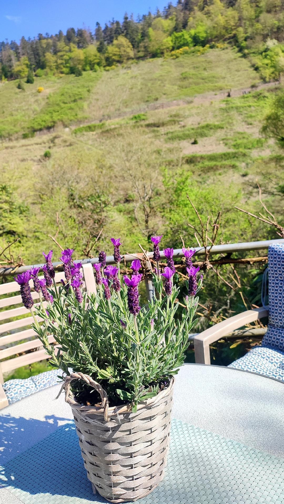 Ein nettter Platz im Garten