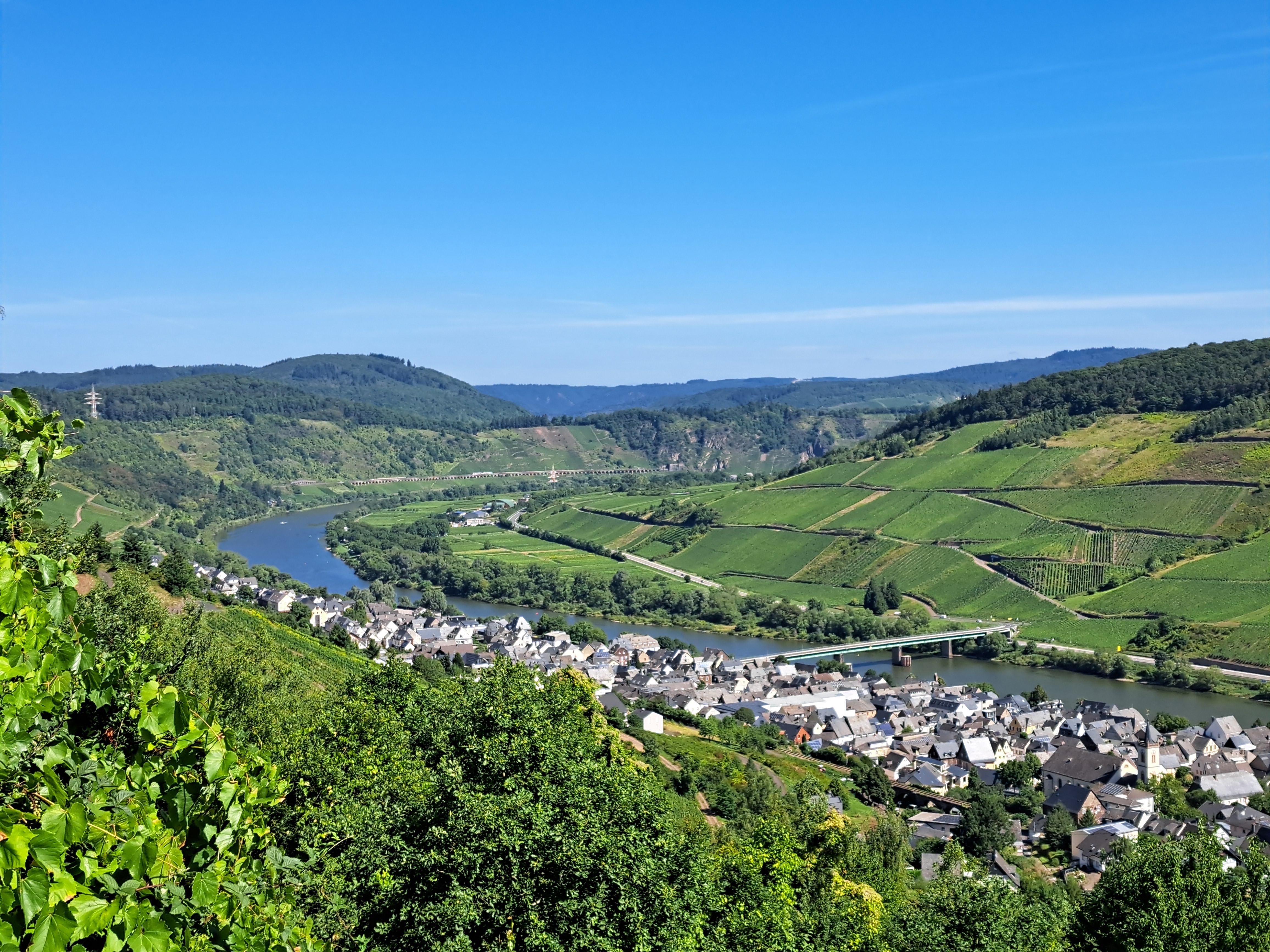 Moselblick