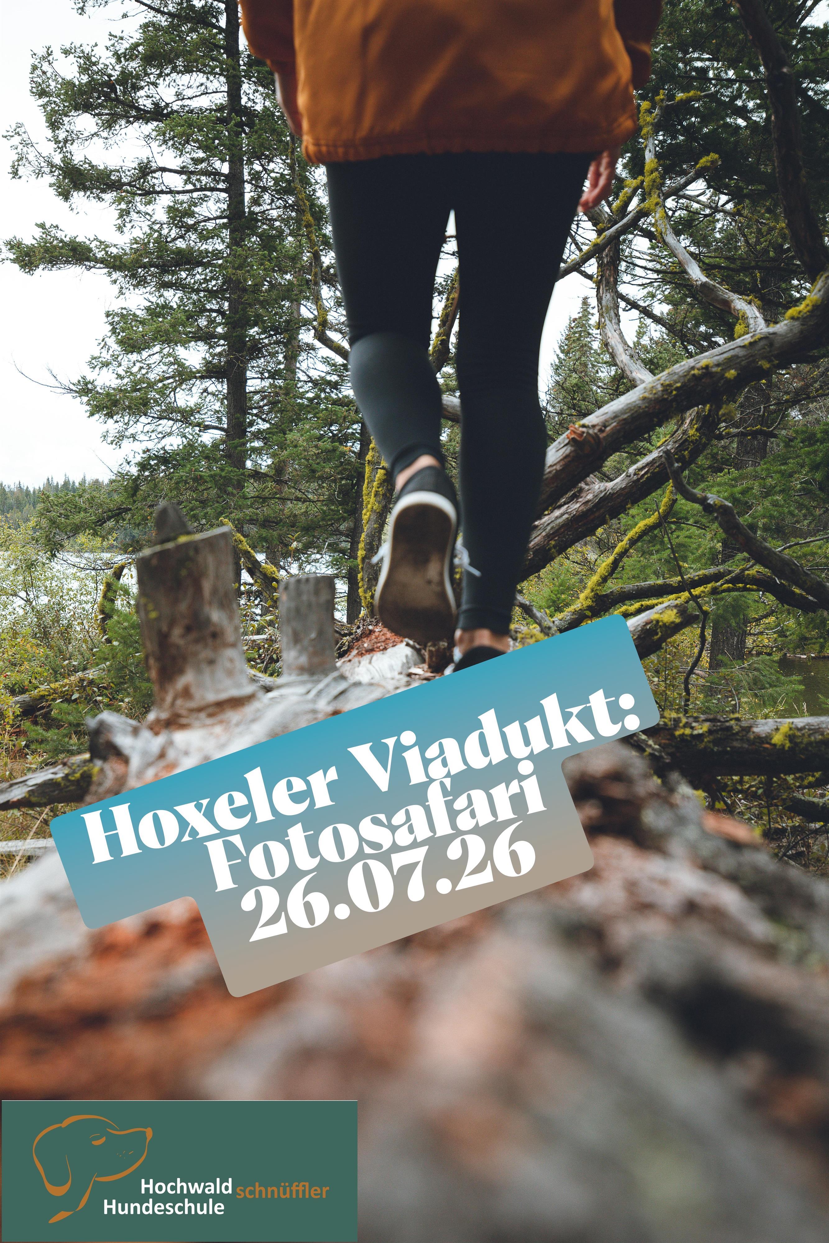 Plakat Fotosafari im Hochwald