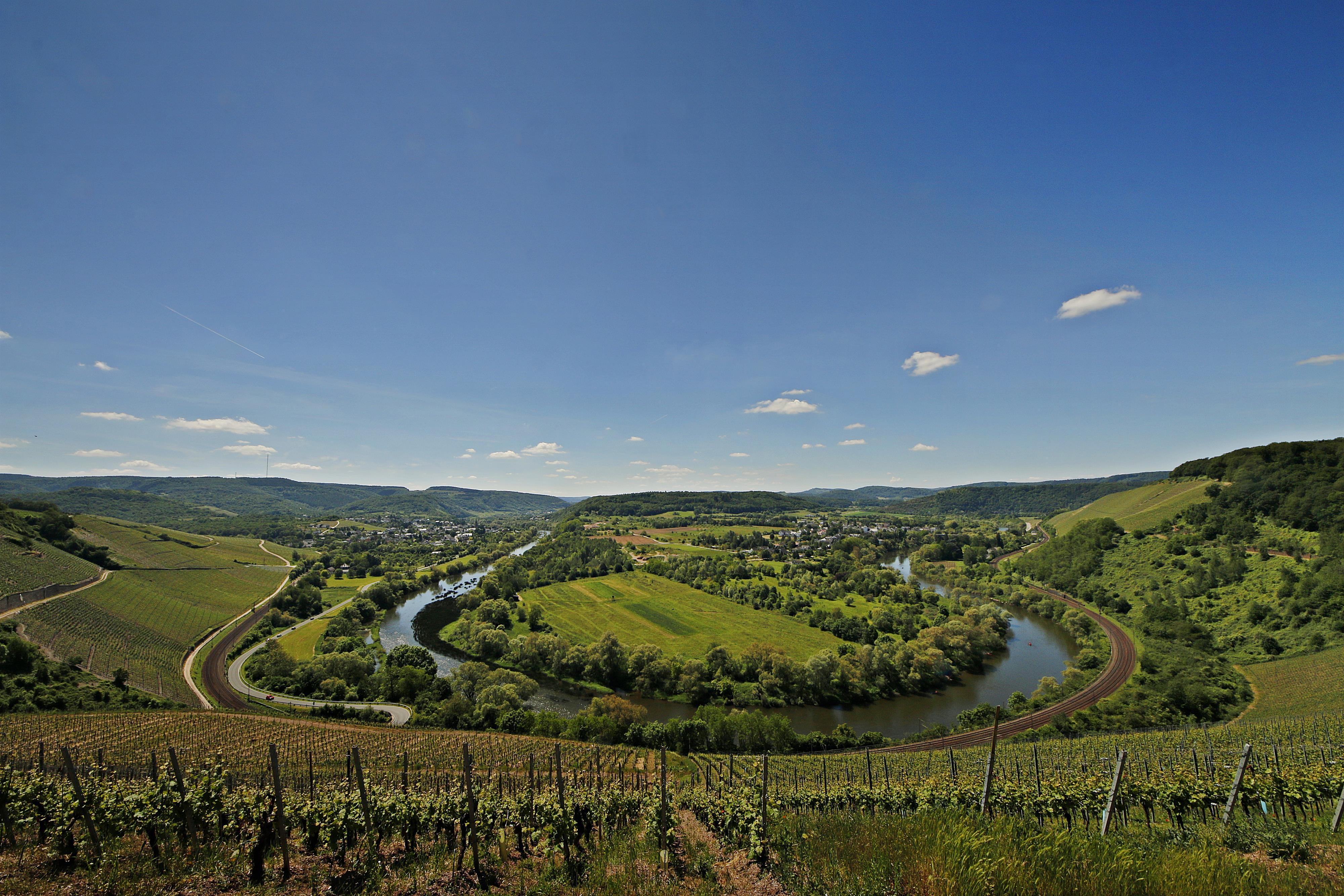 Wiltinger Saarbogen
