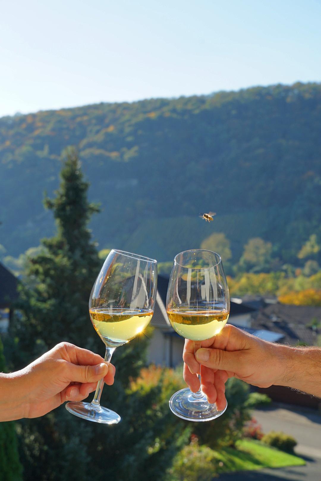 Zum Wohl mit einem Glas Wein aus eigenem Weingut