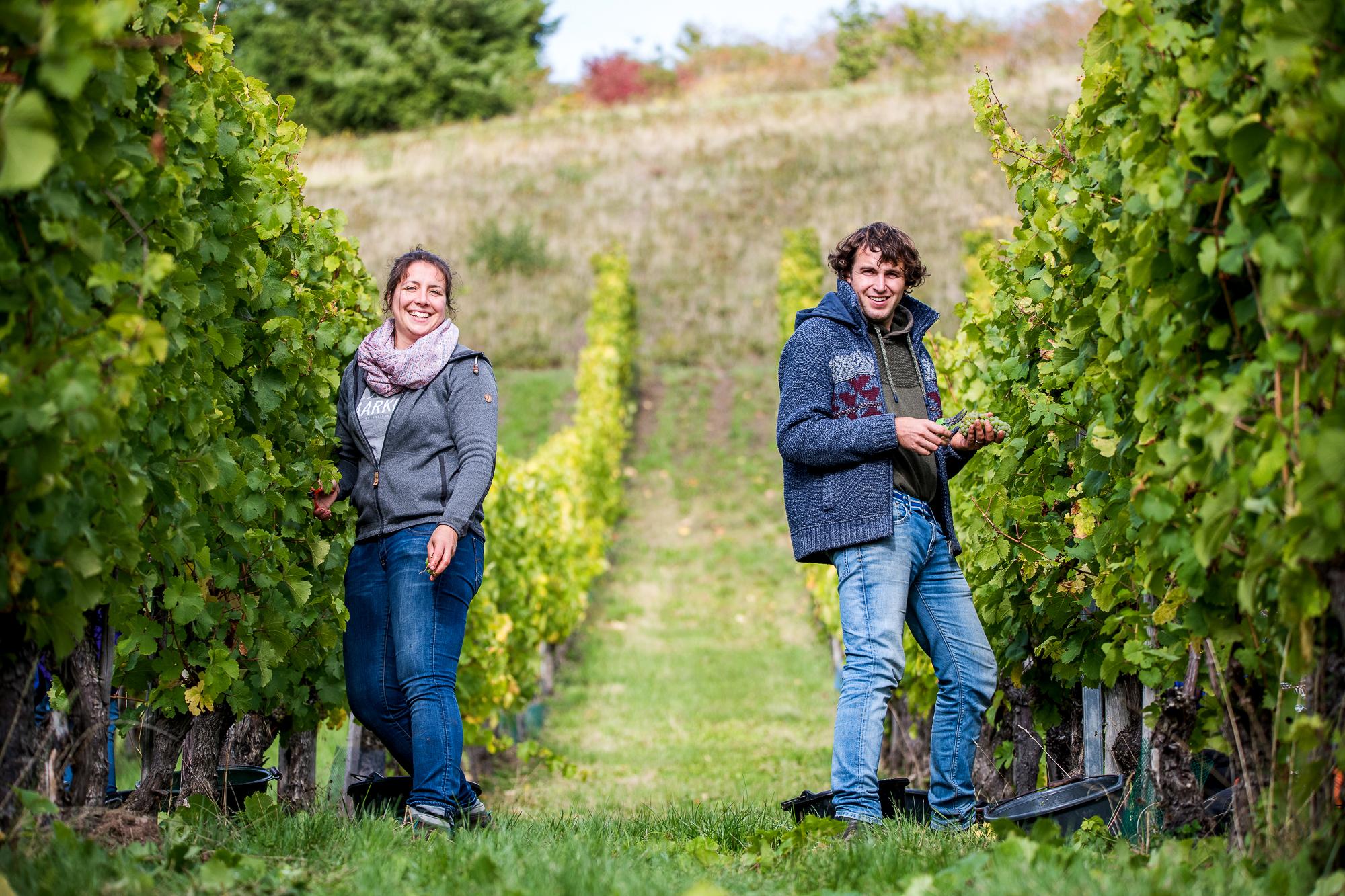 Weingut Stefan Müller (2)
