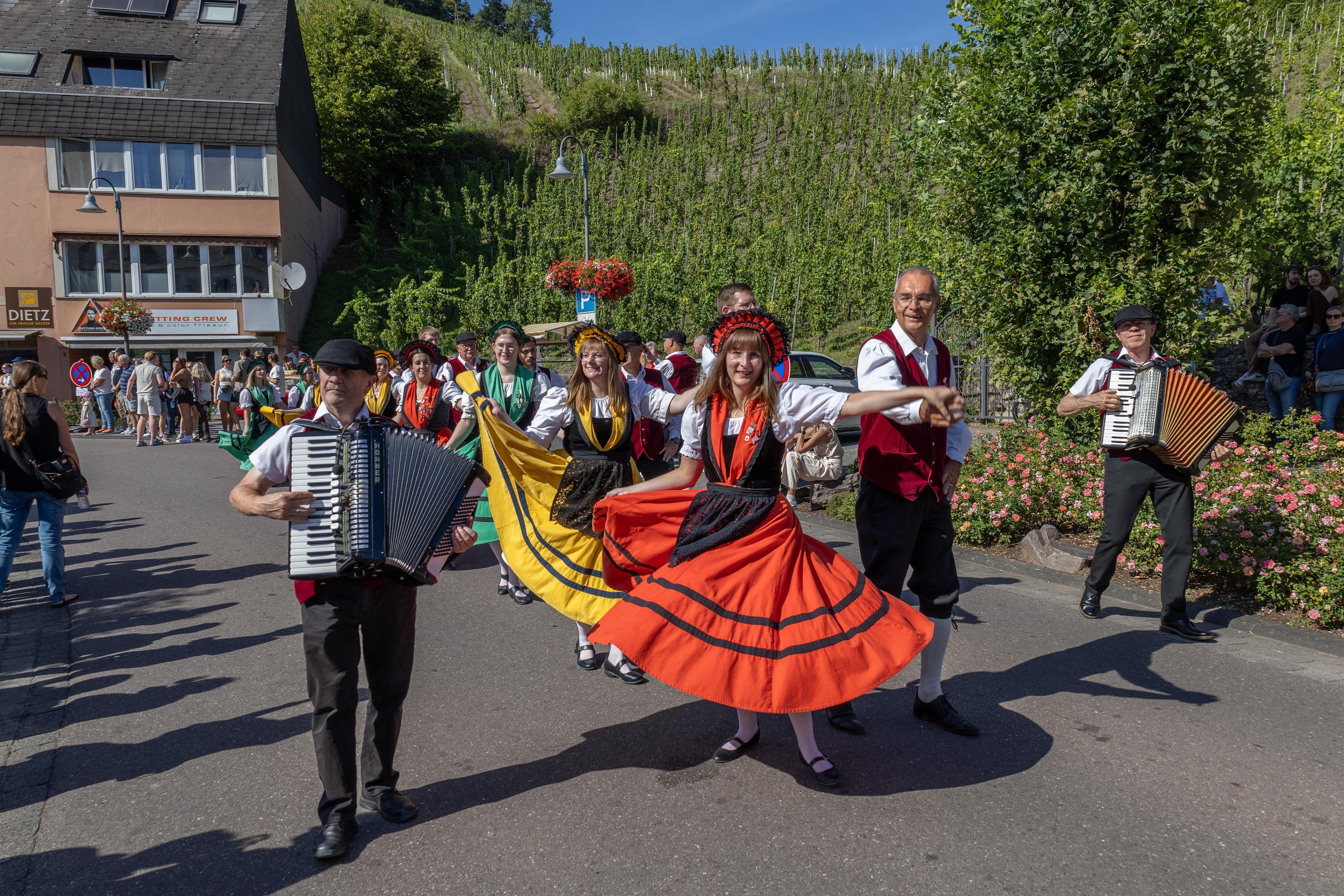 Umzug Saarweinfest (9)