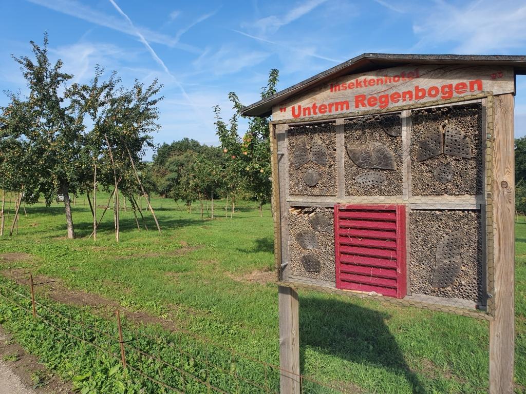 Während der Wanderung