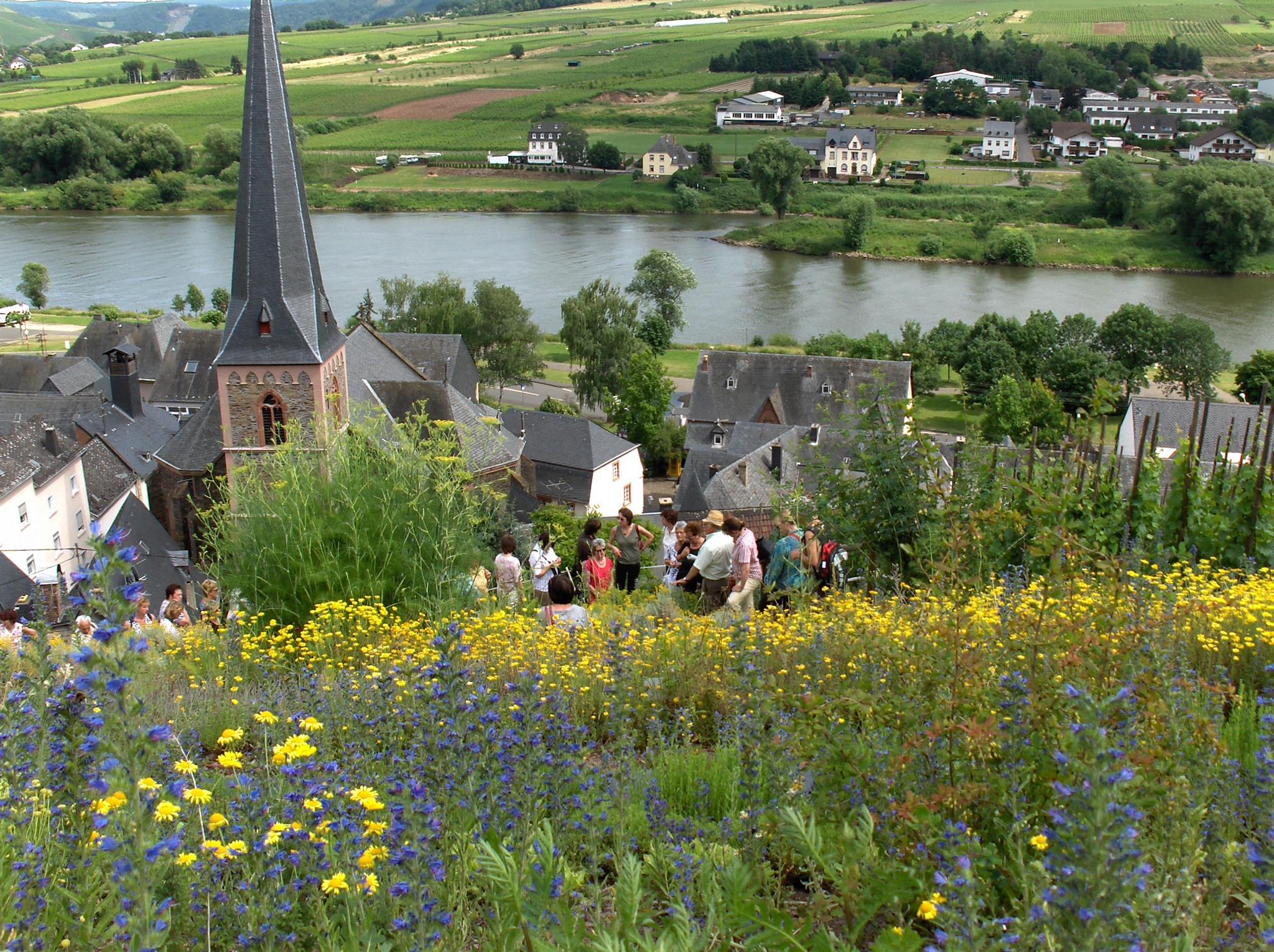 Fürhung im Gewürzgarten