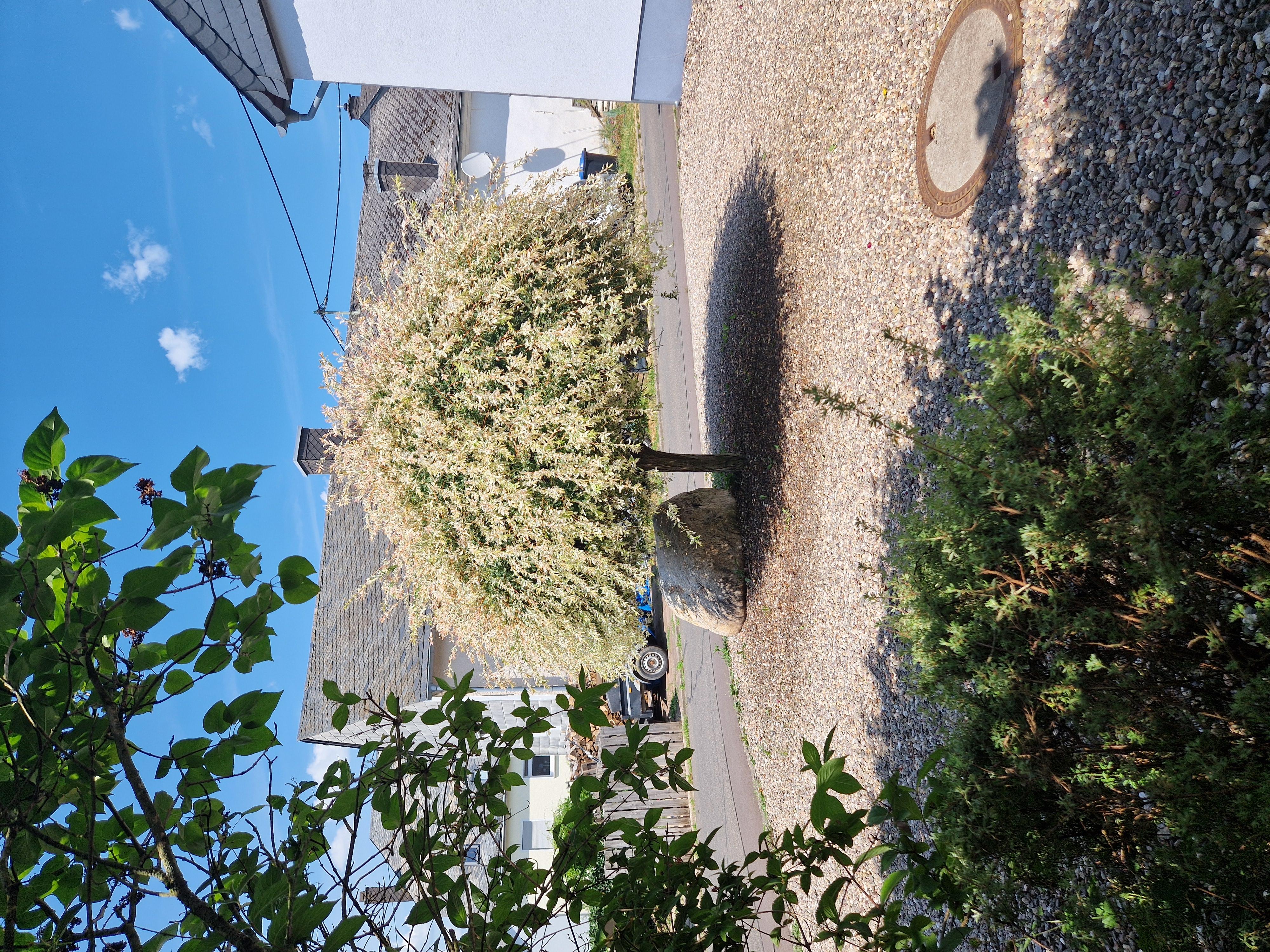 Blick von der Ruhebank vor der Fewo