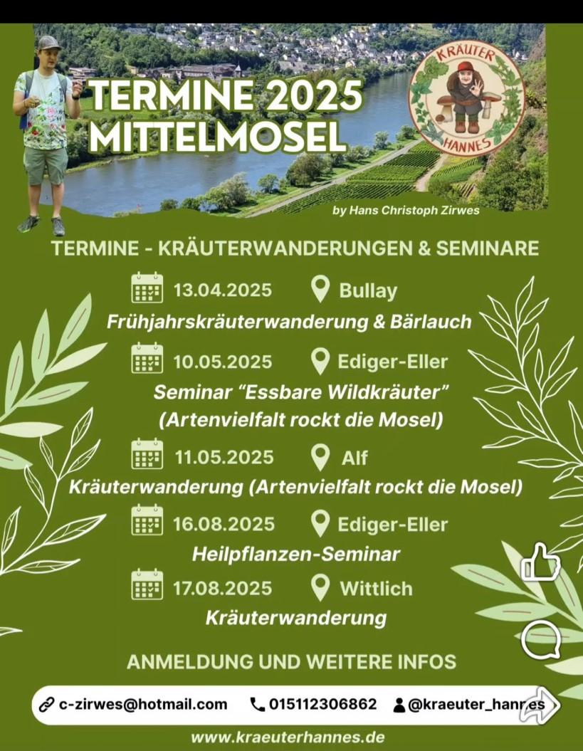 Kräuterwanderungen
