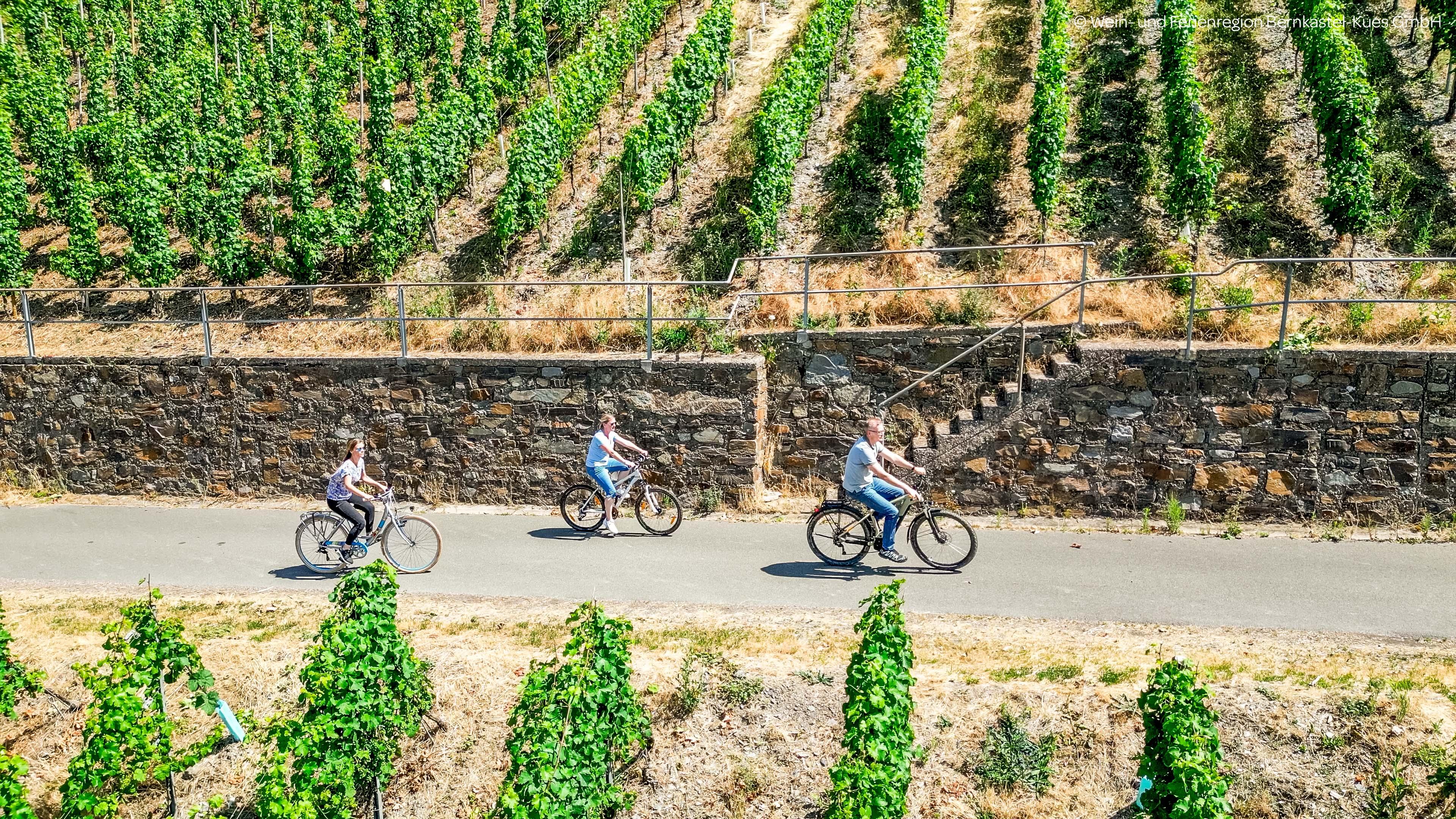 Rad_Person_Weinberg_Sommer (2) ©Wein- und Ferienre