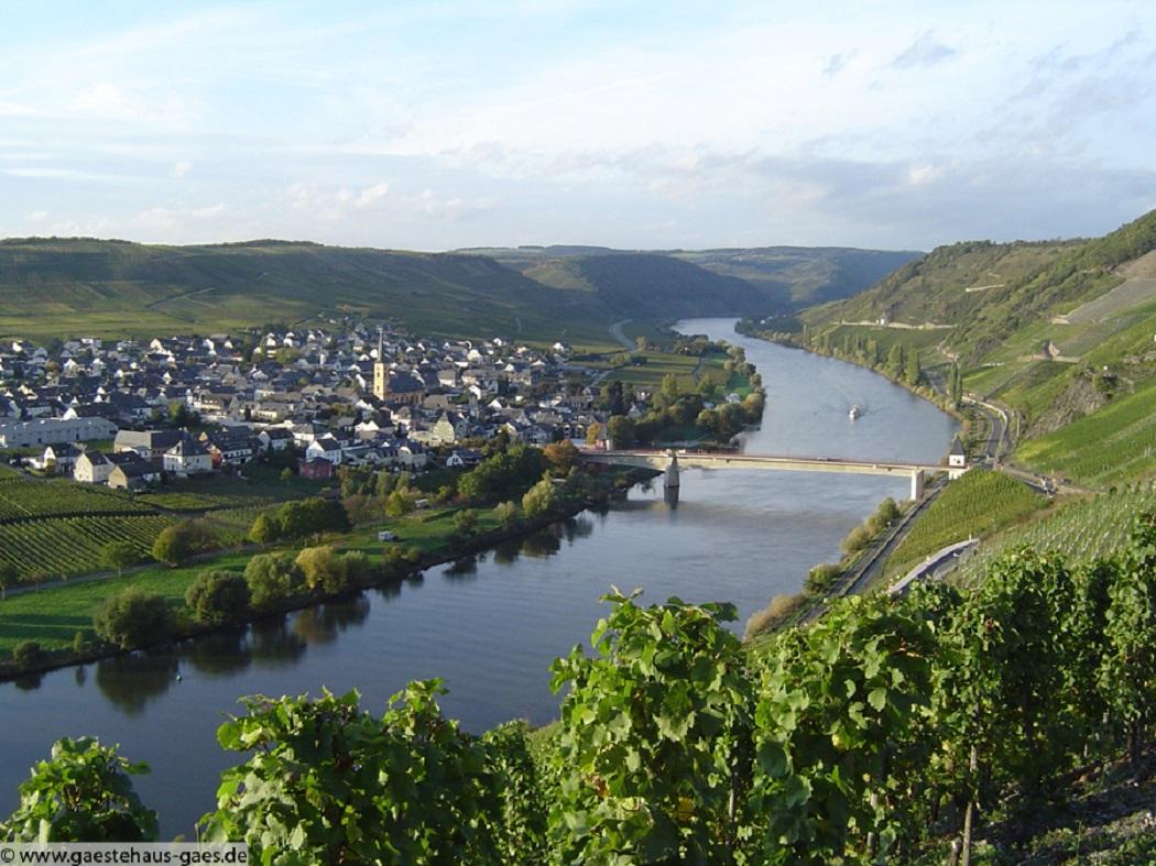 Blick auf Trittenheim