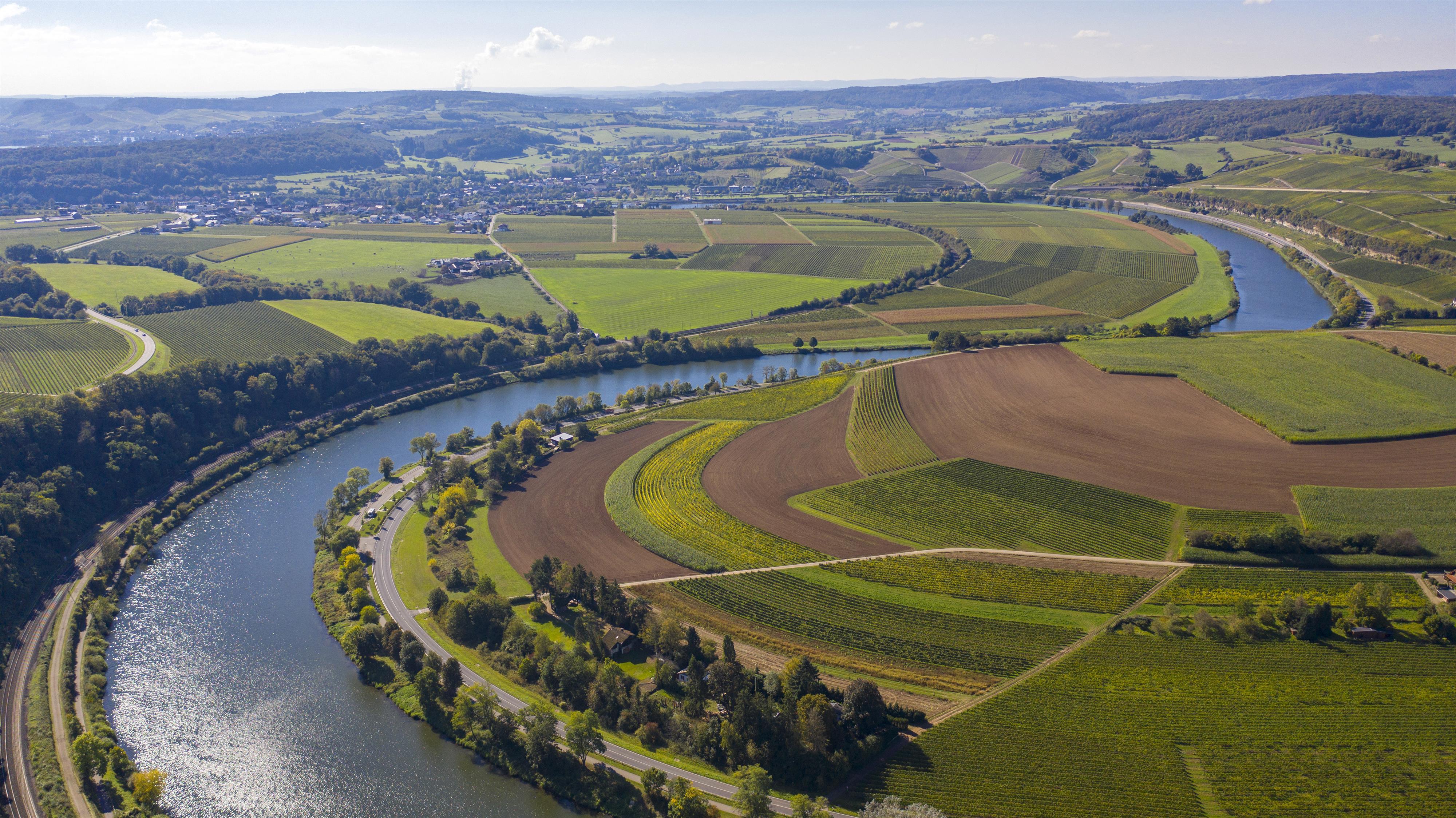 Moselsteife Obermosel