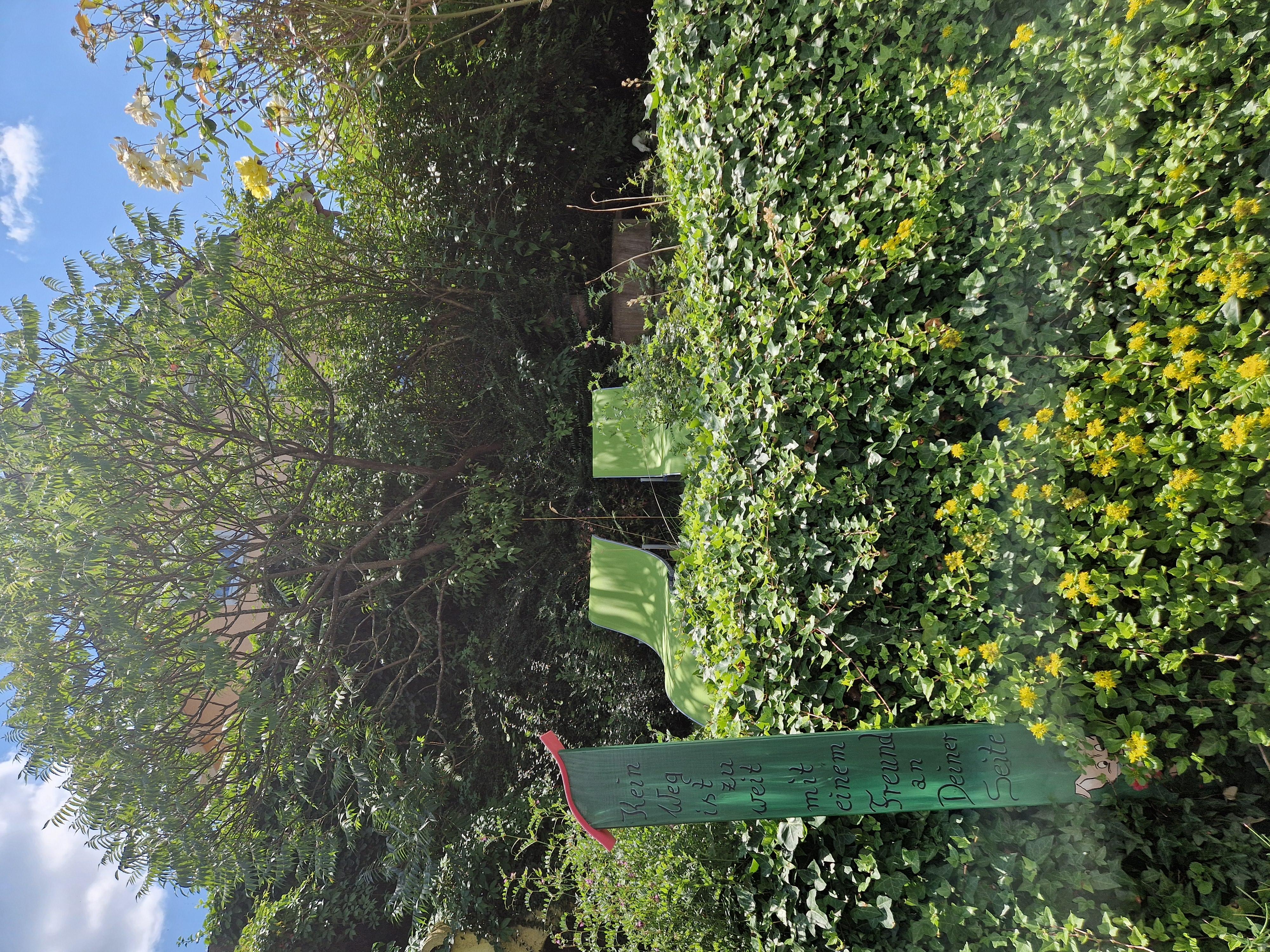 Garten von der Terrasse