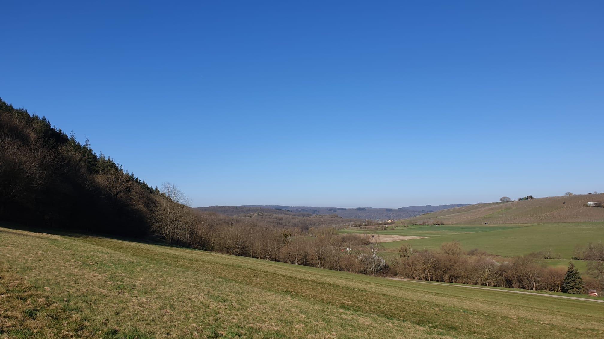 Zimmers Tälchenhof Konz-Oberemmel (07)