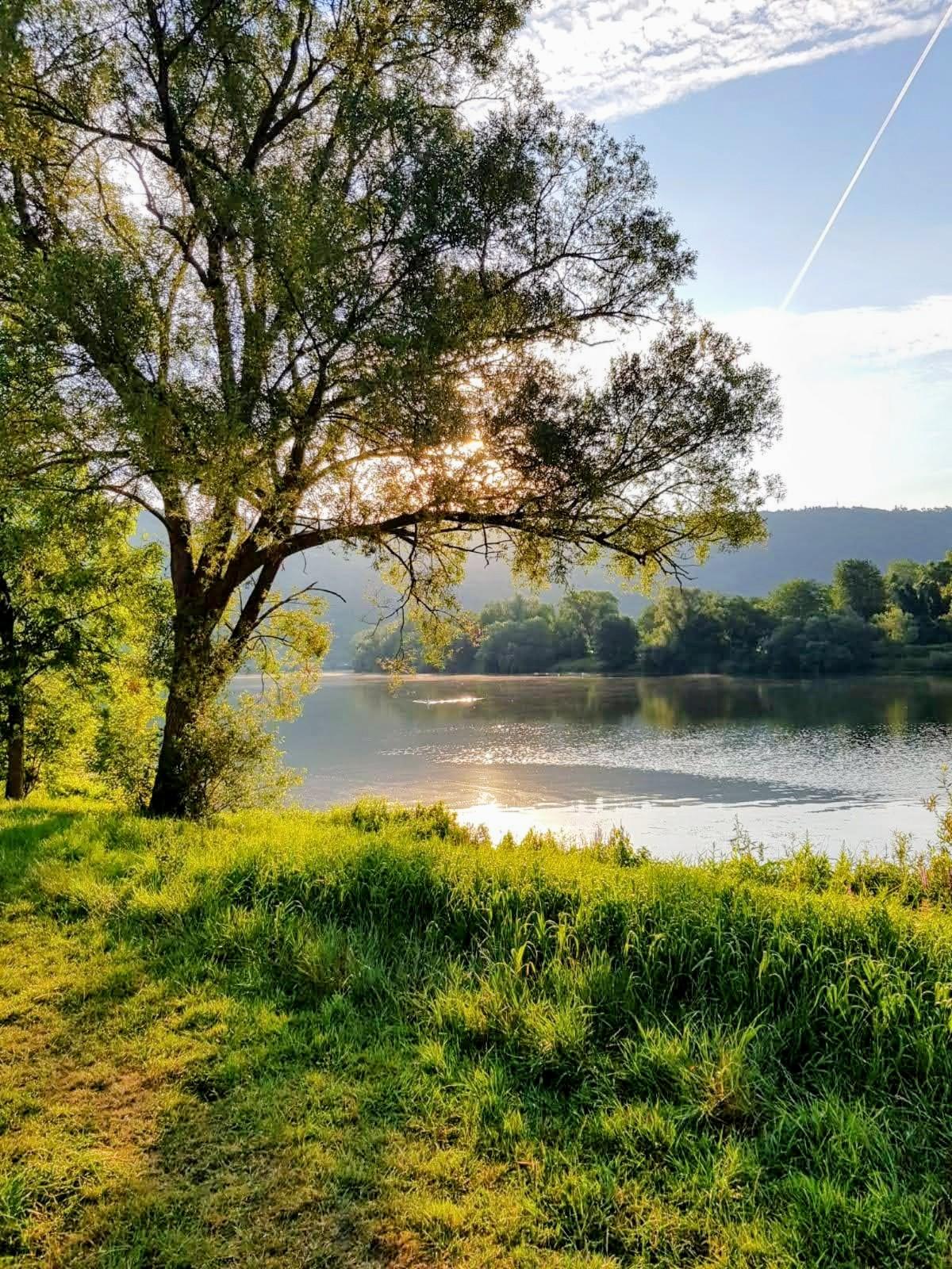 Blick auf die Mosel