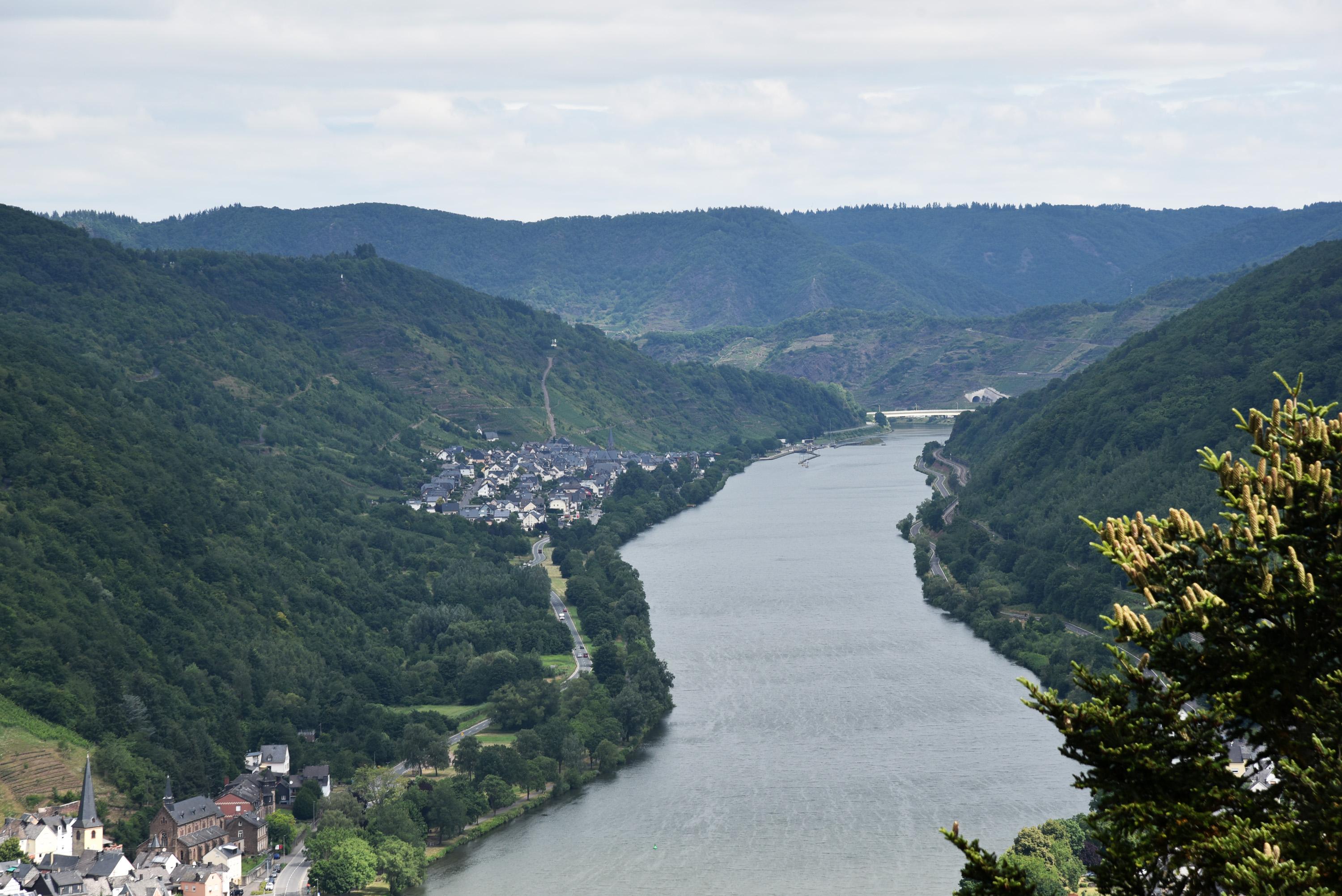 Das Moseltal vom Prinzenkopf Turm