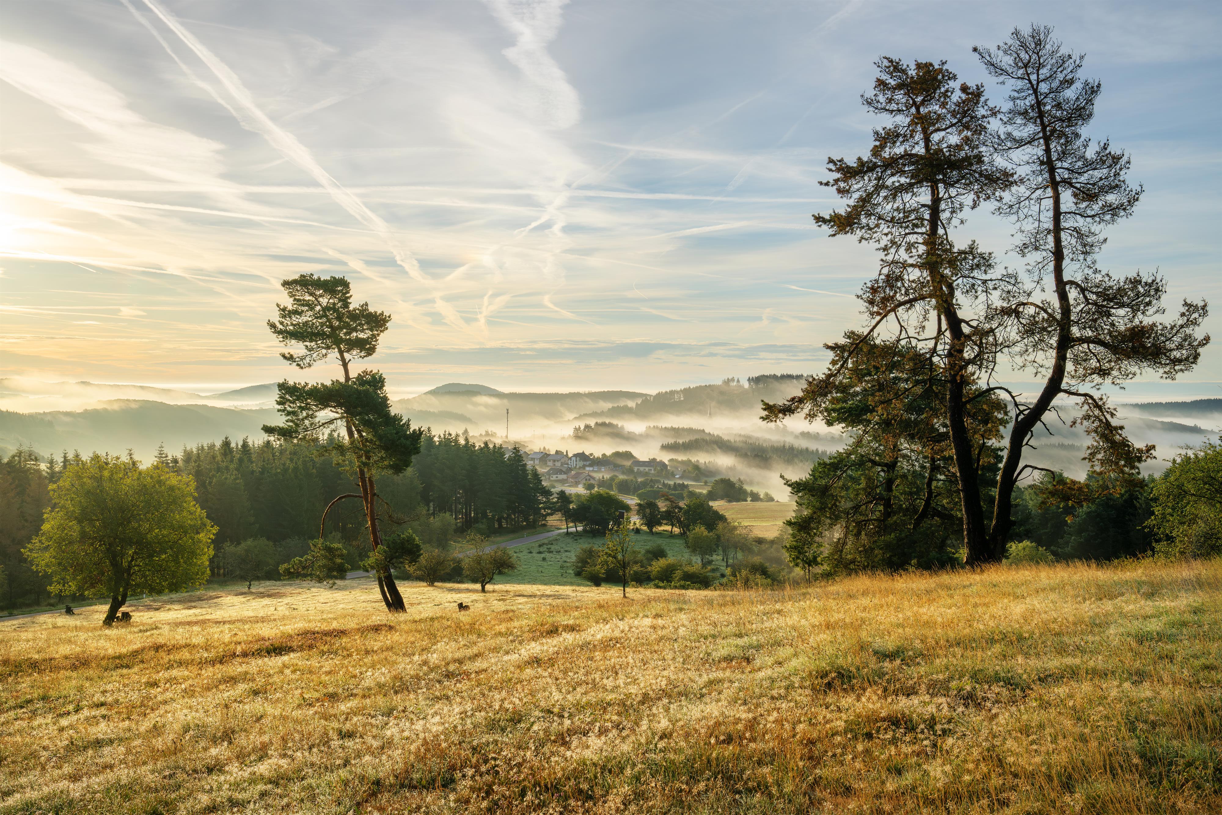 Kapitel 6.1 Bergheide mit Blick auf Arft