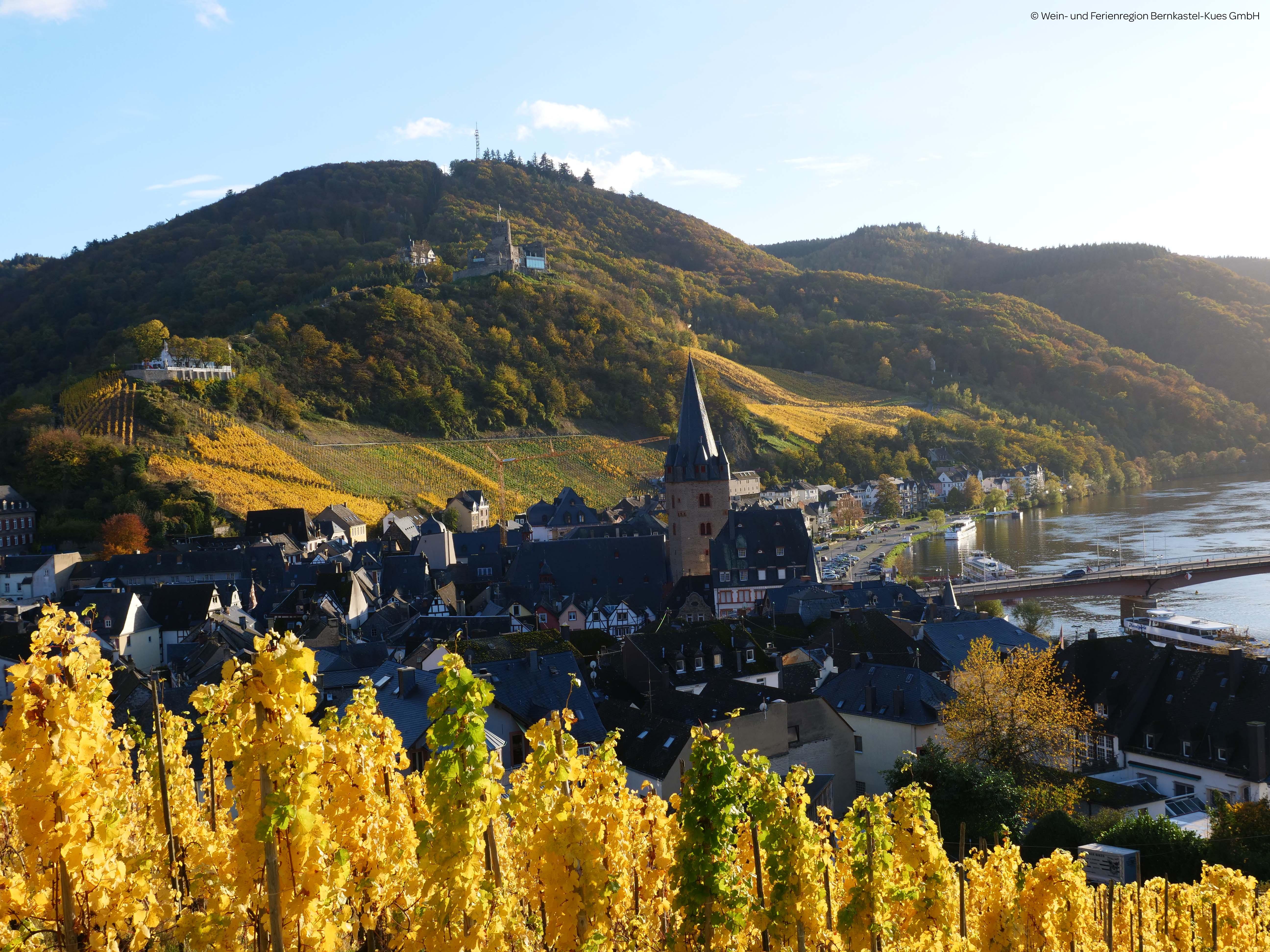 Landschaft_Weinberg_Mosel_Herbst_Burg_Brücke_Bernk