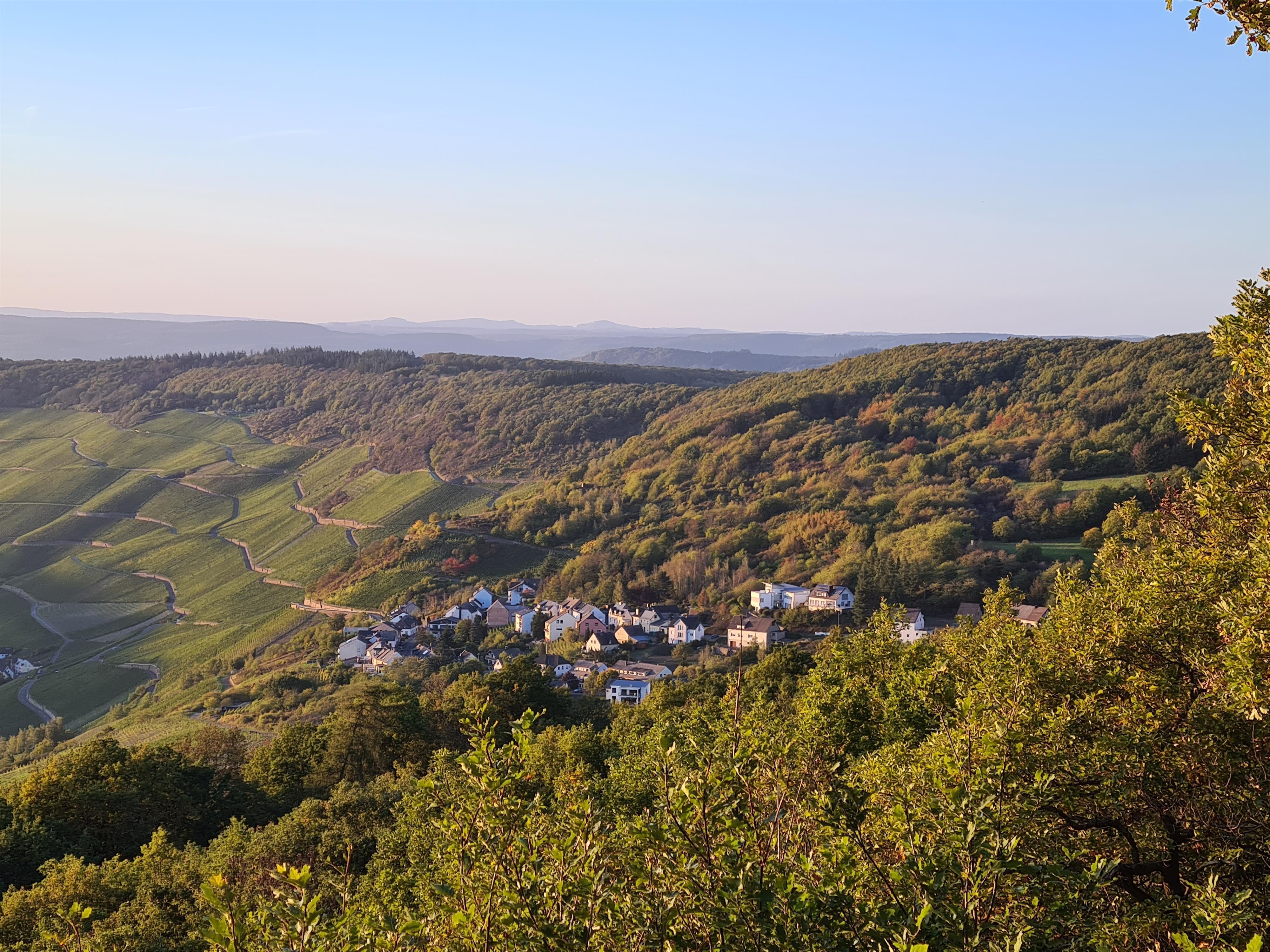 Fest auf der Schäferei