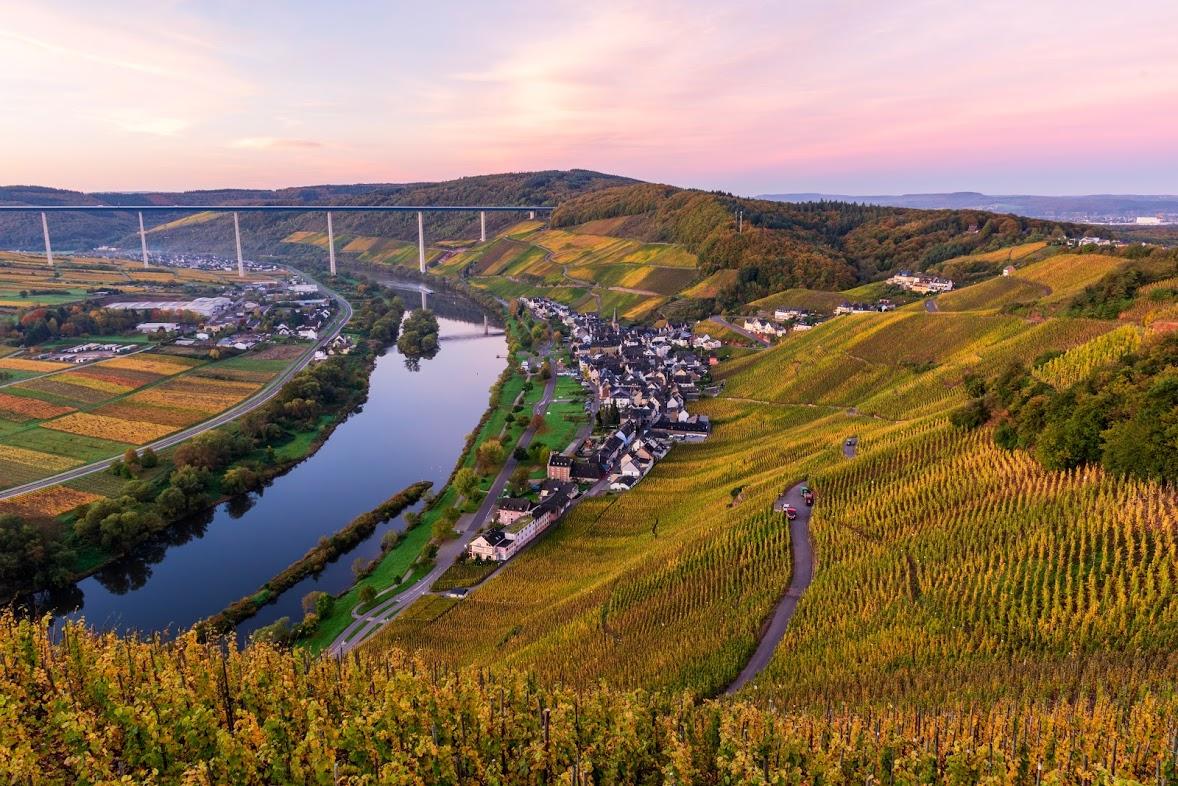 Weineberge im Herbst