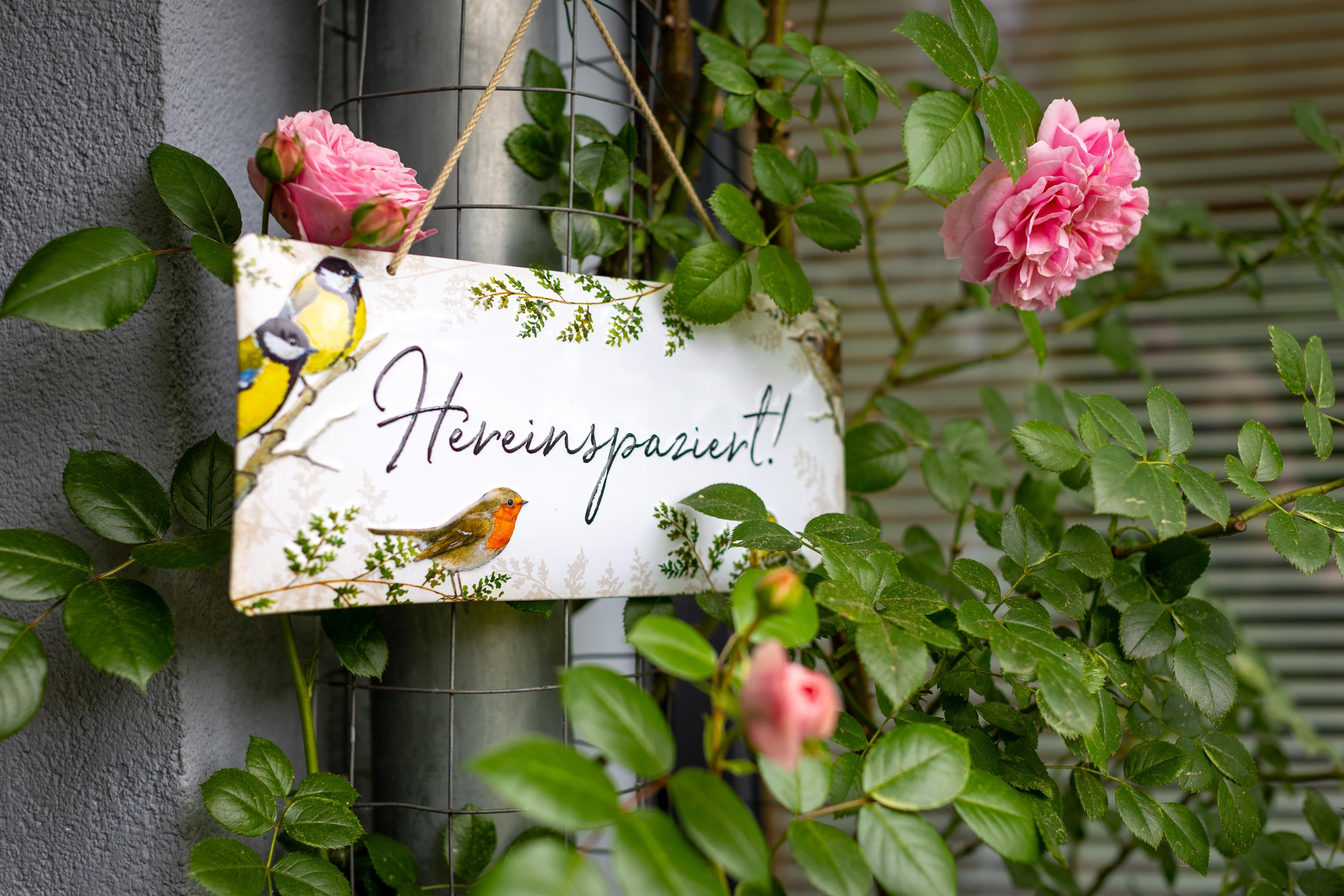 Hereinspaziert!