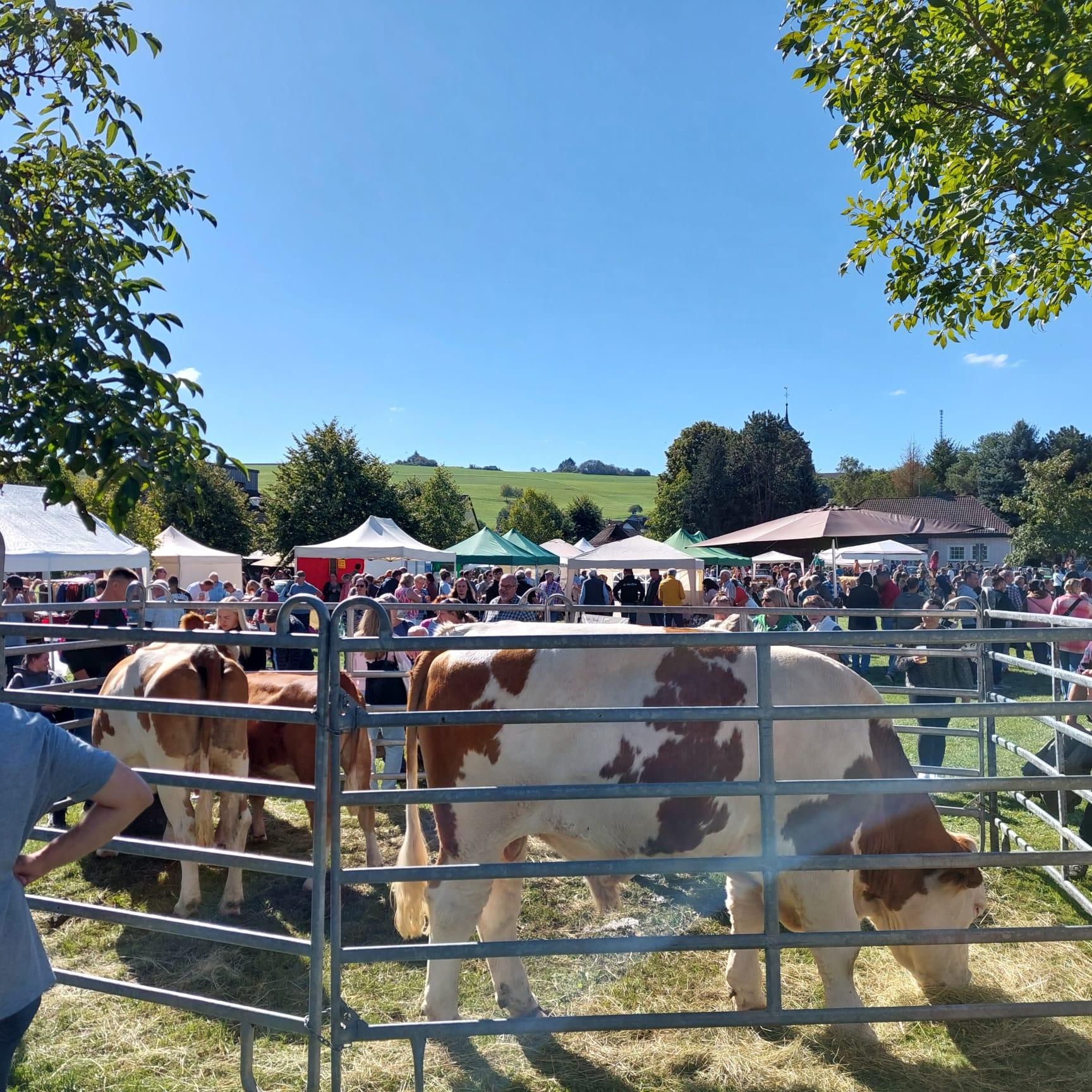 Auf dem Bauernmarkt