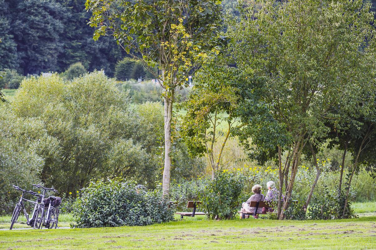 Am Moselufer in Zeltingen